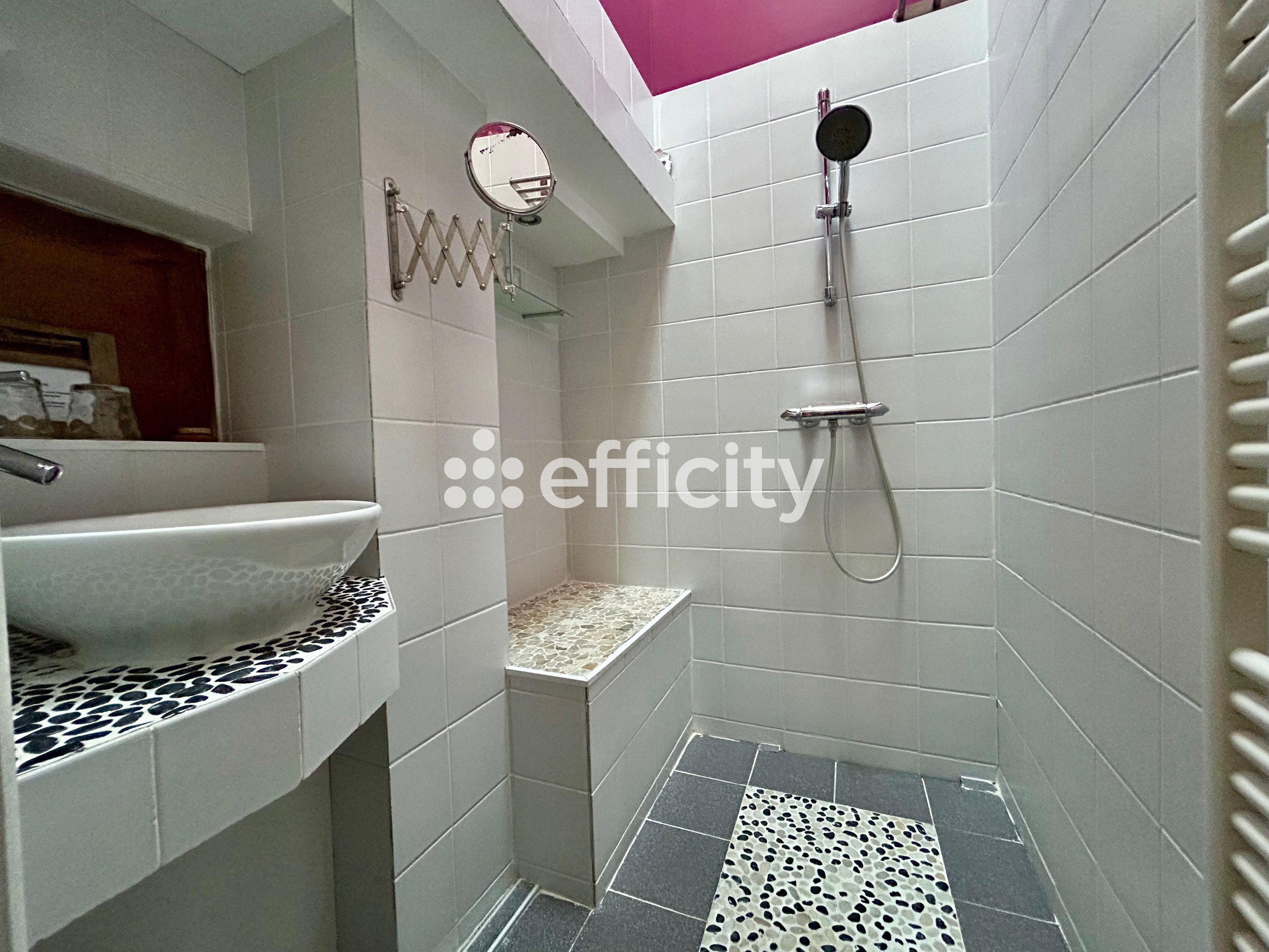 Achat immobilier Maison 11 pièces  380m2 à Nieulle-sur-Seudre (17600) - Photo n°13