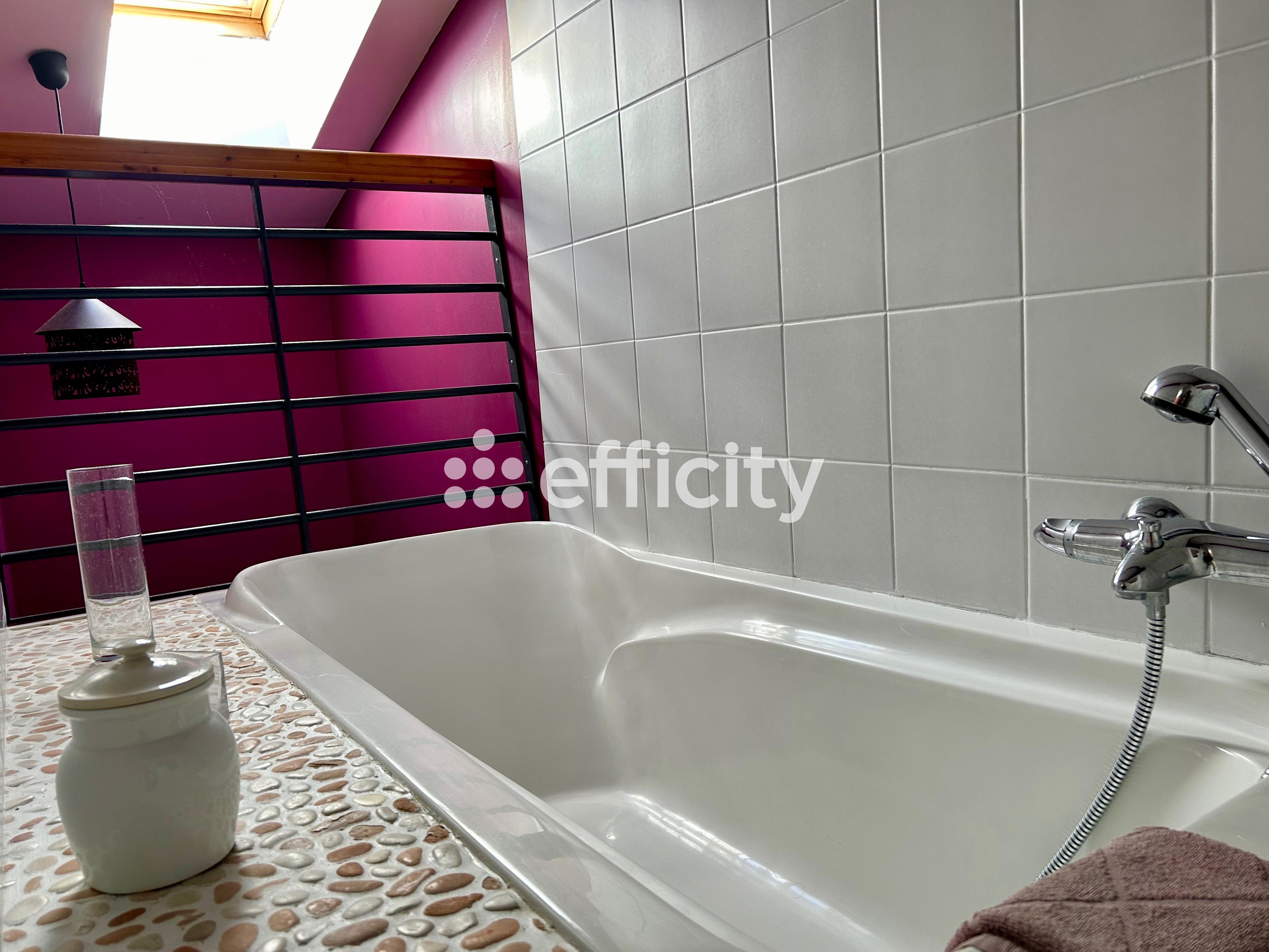 Achat immobilier Maison 11 pièces  380m2 à Nieulle-sur-Seudre (17600) - Photo n°14