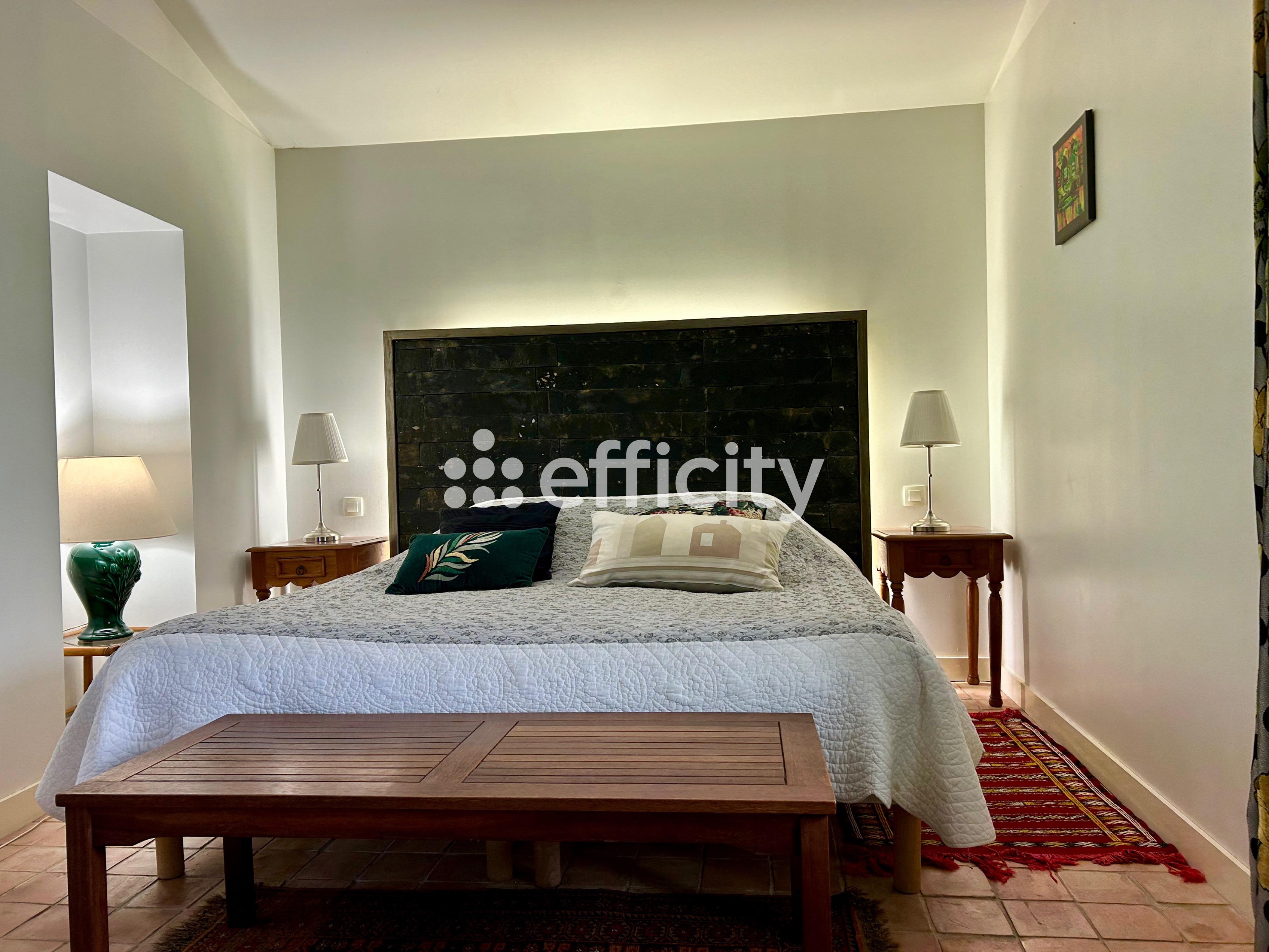 Achat immobilier Maison 11 pièces  380m2 à Nieulle-sur-Seudre (17600) - Photo n°7