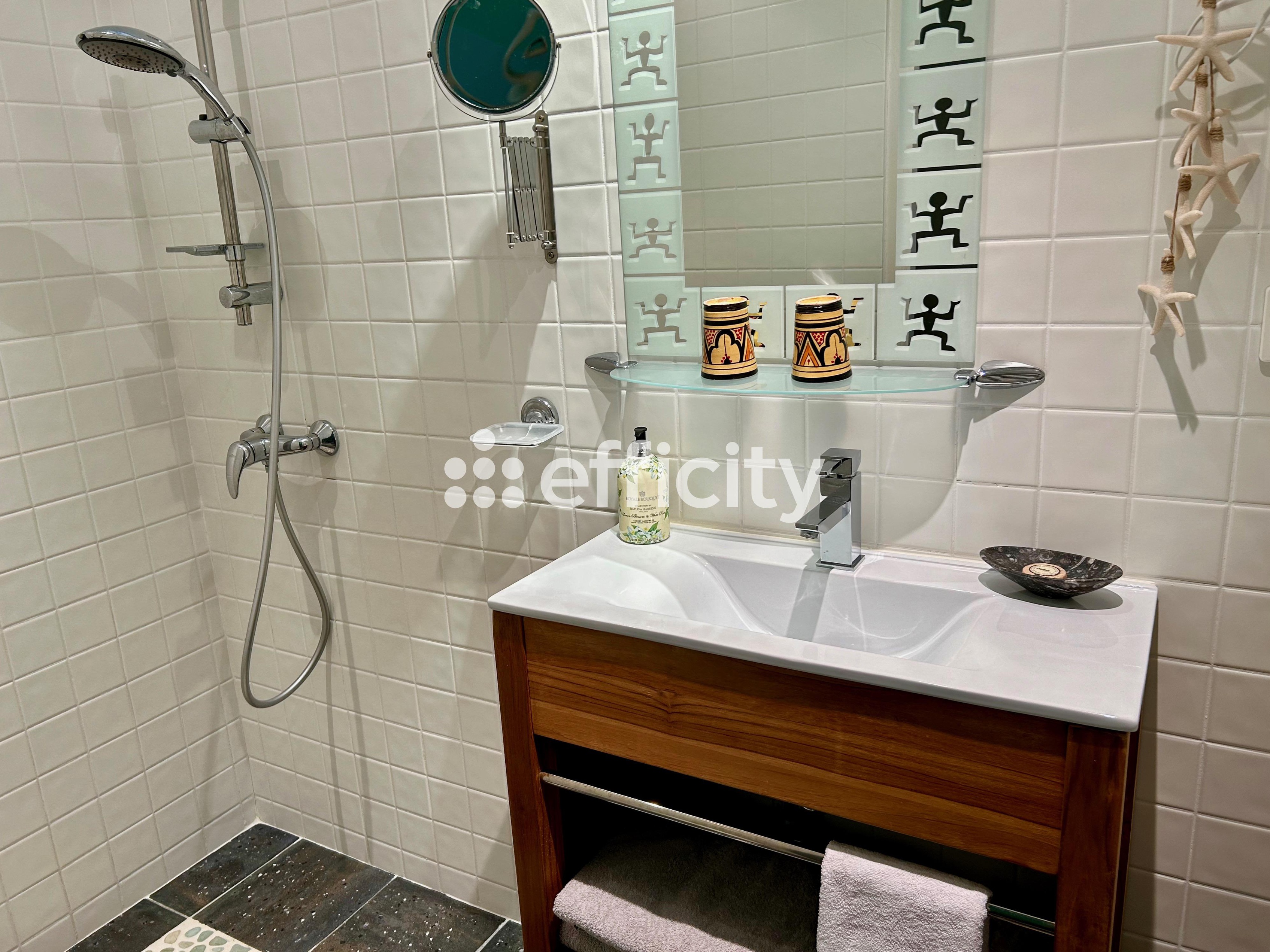 Achat immobilier Maison 11 pièces  380m2 à Nieulle-sur-Seudre (17600) - Photo n°12