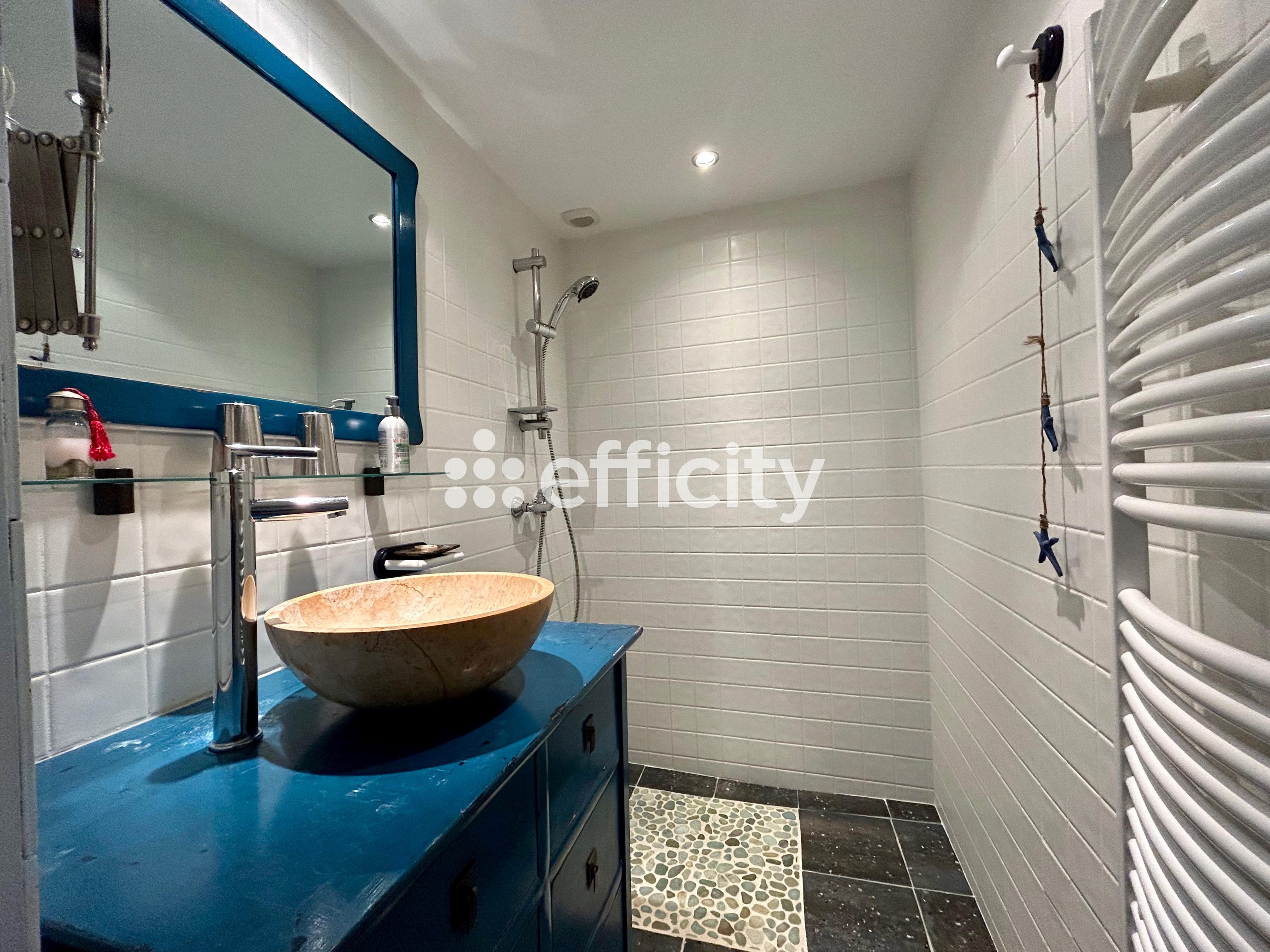 Achat immobilier Maison 11 pièces  380m2 à Nieulle-sur-Seudre (17600) - Photo n°11