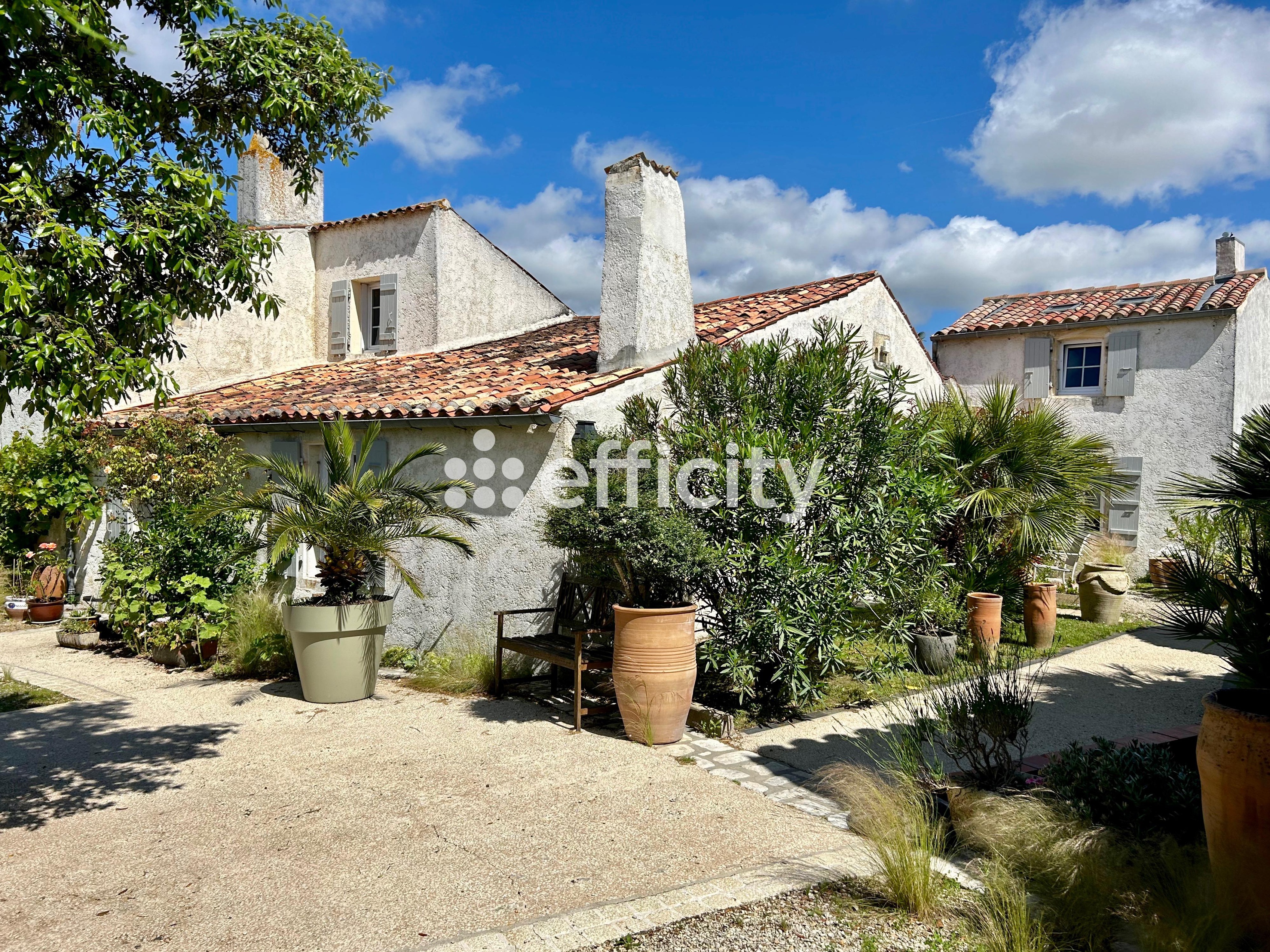 Achat immobilier Maison 11 pièces  380m2 à Nieulle-sur-Seudre (17600) - Photo n°16