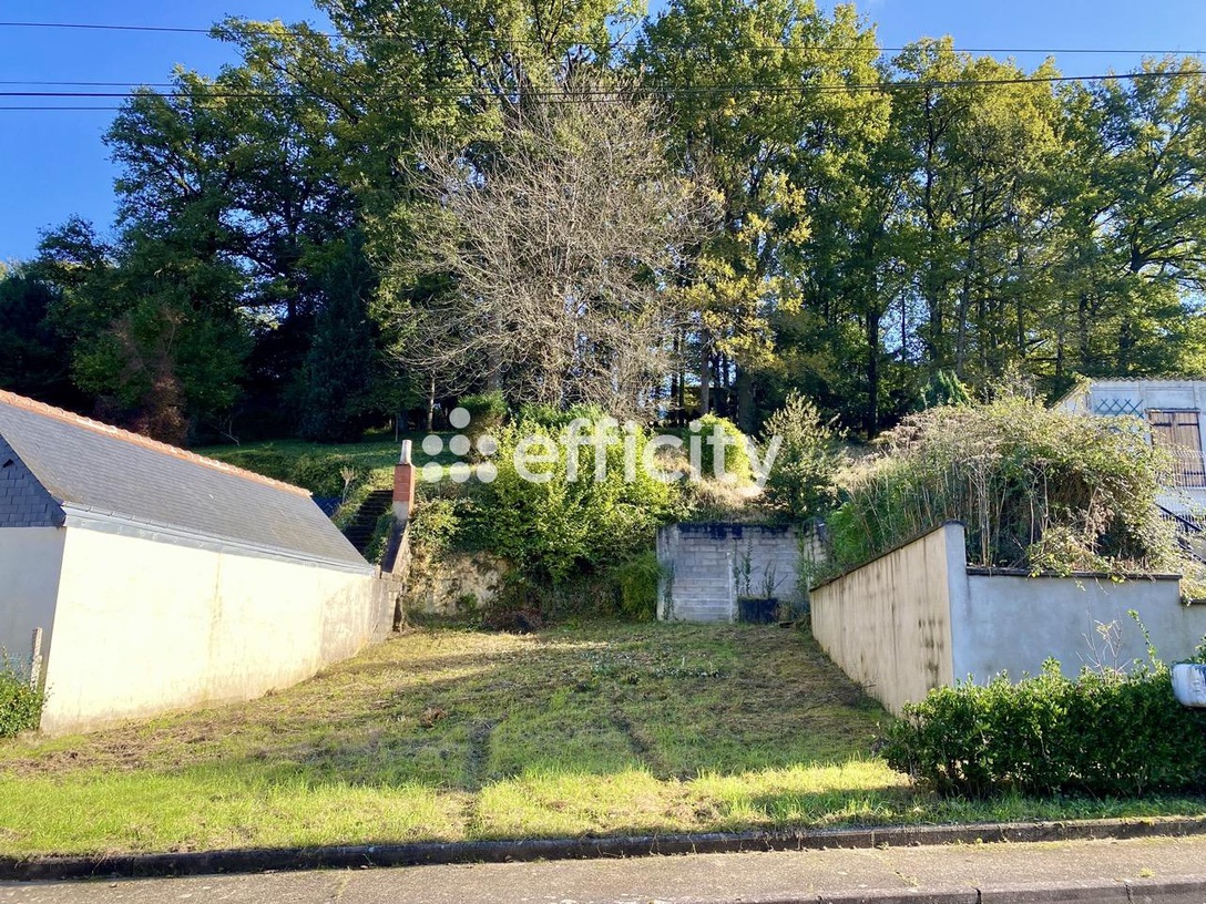 Achat immobilier Terrain   973m2 à Langeais (37130) - Photo n°1