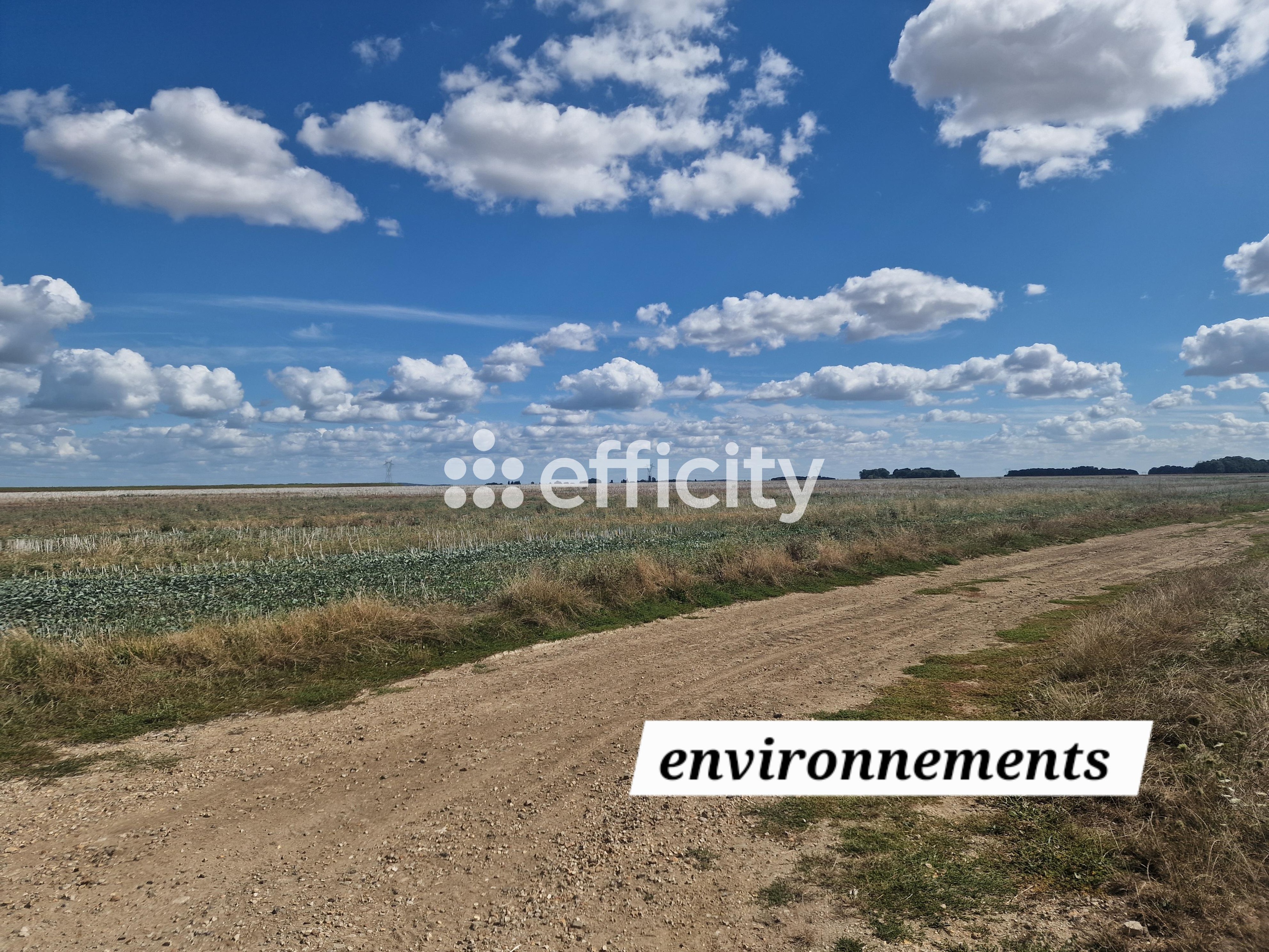Achat immobilier Maison 4 pièces  91m2 à Bû (28410) - Photo n°14