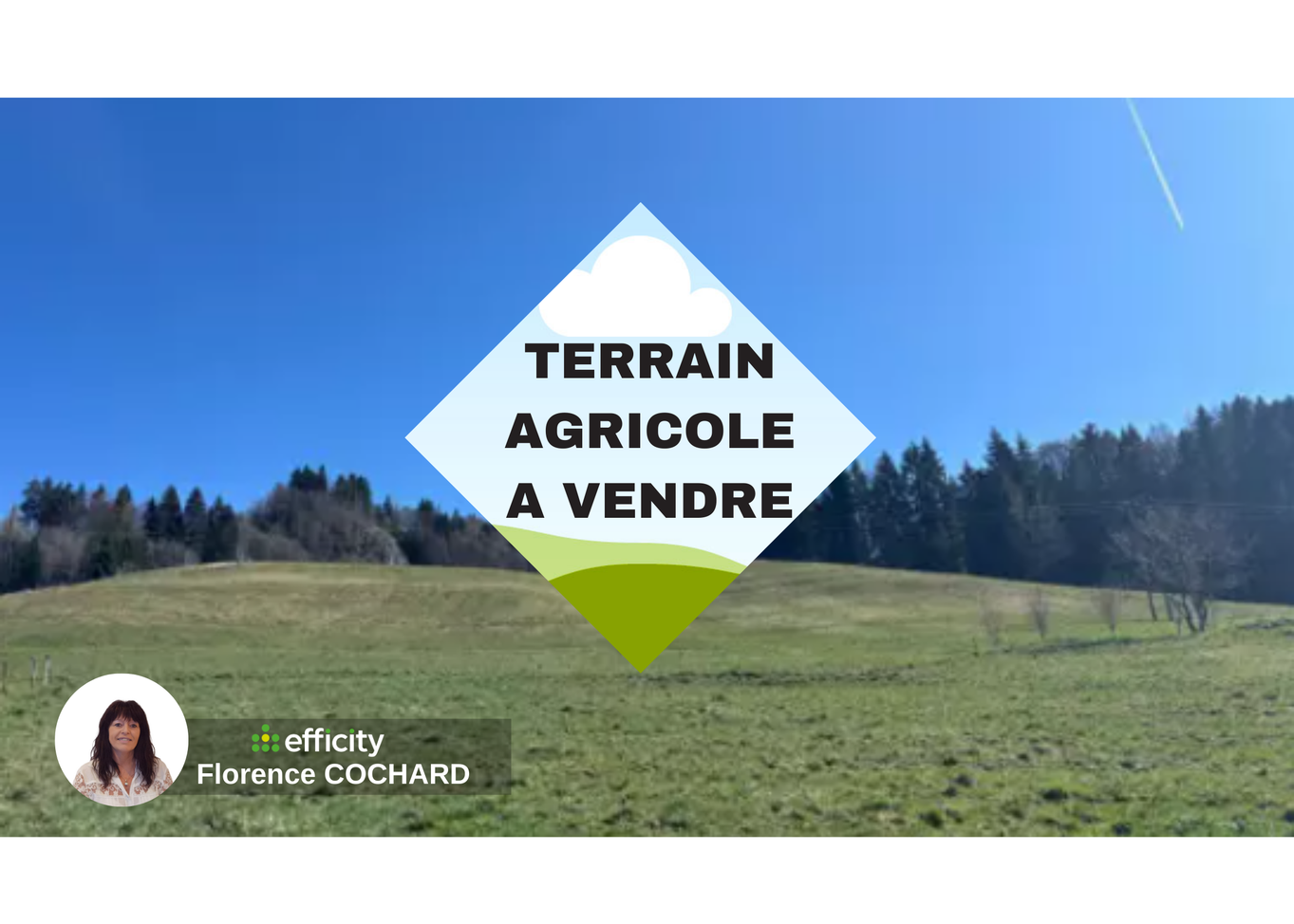 terrain  - 50000m2 à Mégevette (74490)