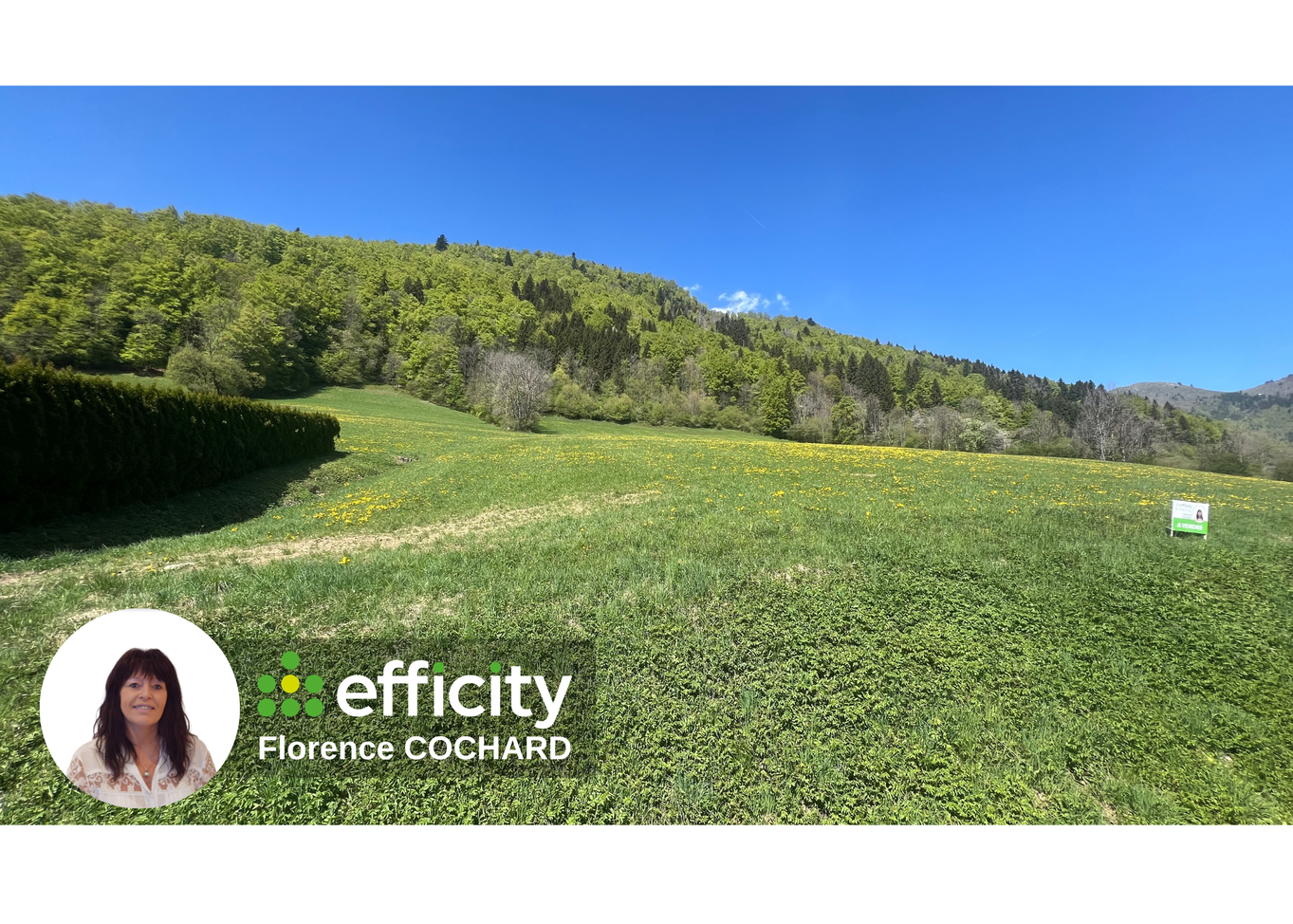 terrain  - 50000m2 à Mégevette (74490)