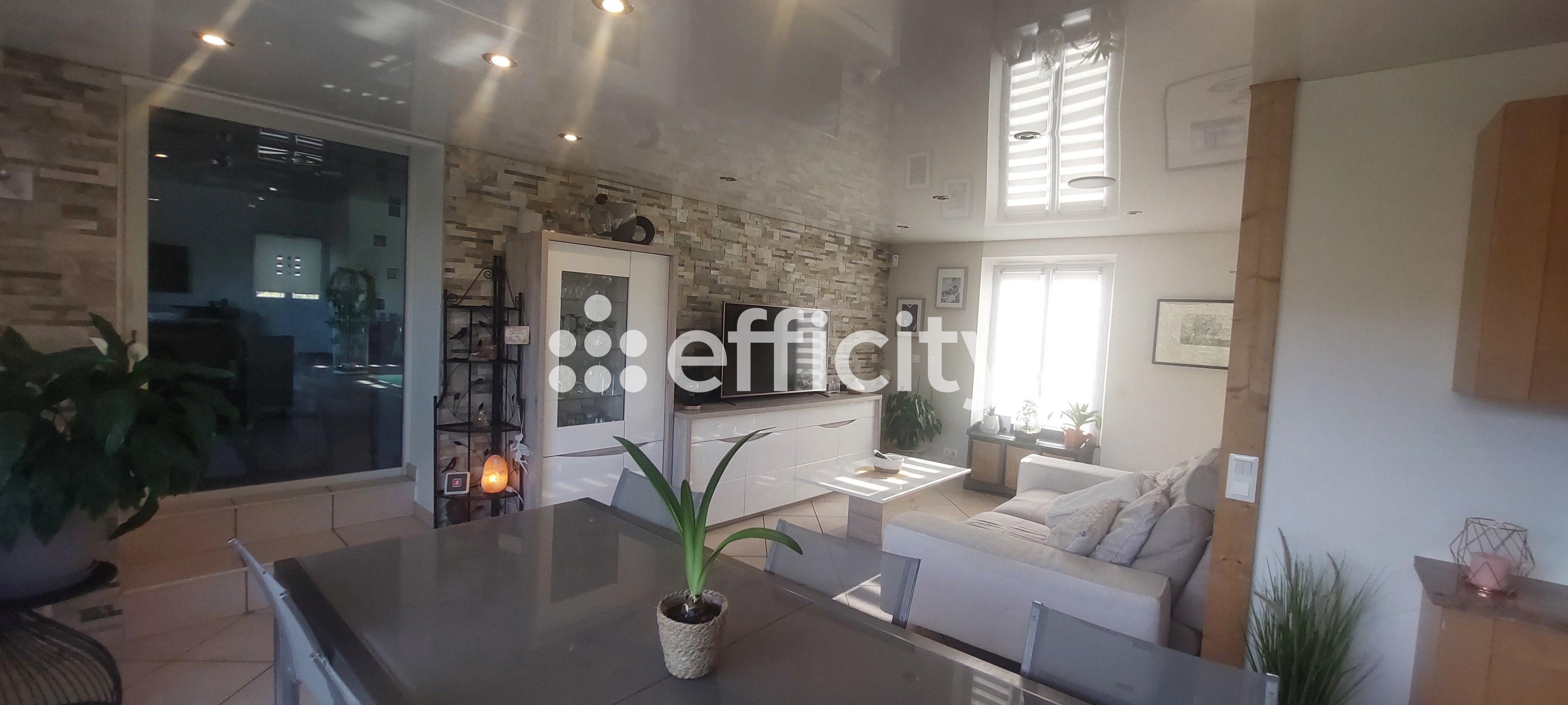 Achat immobilier Maison 9 pièces  213m2 à Saint-Joseph-de-Rivière (38134) - Photo n°6