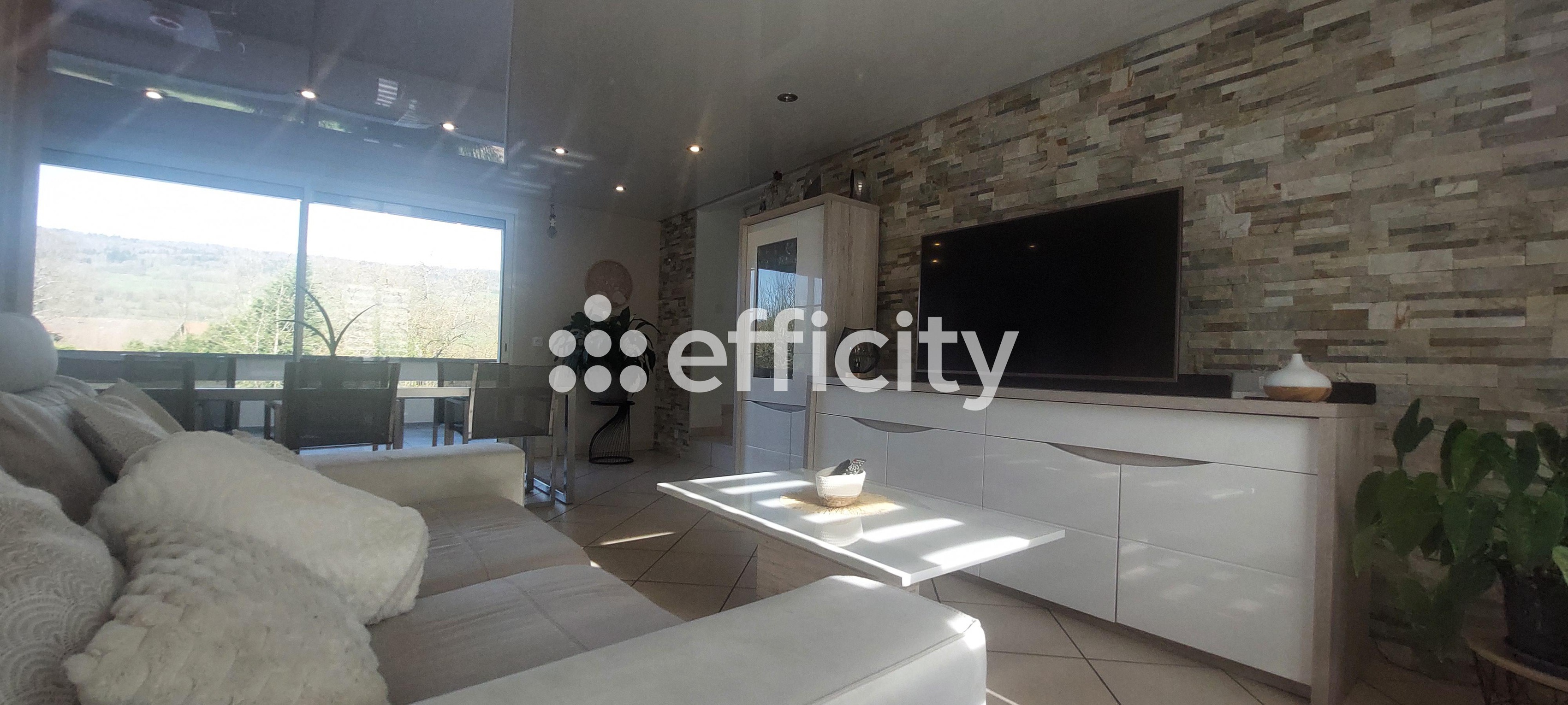 Achat immobilier Maison 9 pièces  213m2 à Saint-Joseph-de-Rivière (38134) - Photo n°8