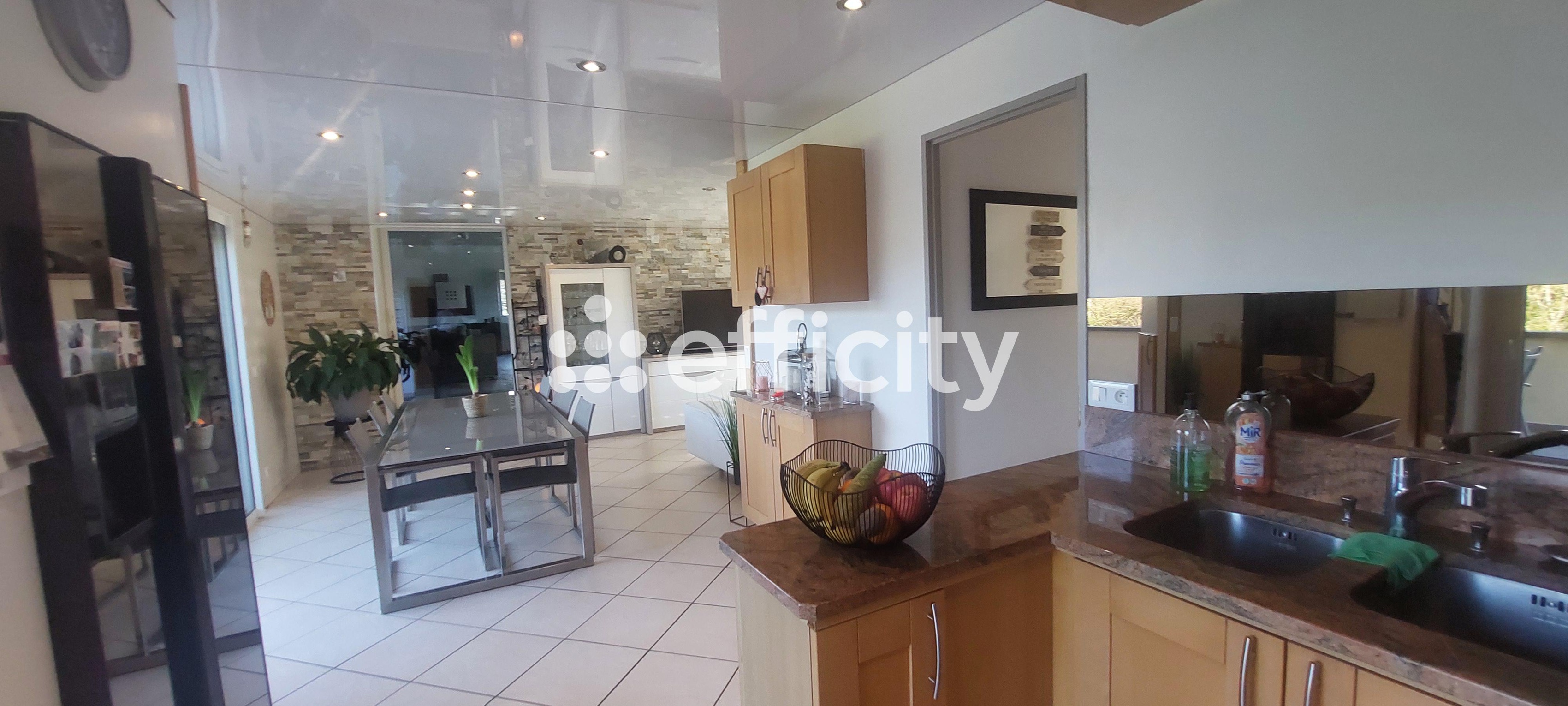 Achat immobilier Maison 9 pièces  213m2 à Saint-Joseph-de-Rivière (38134) - Photo n°10