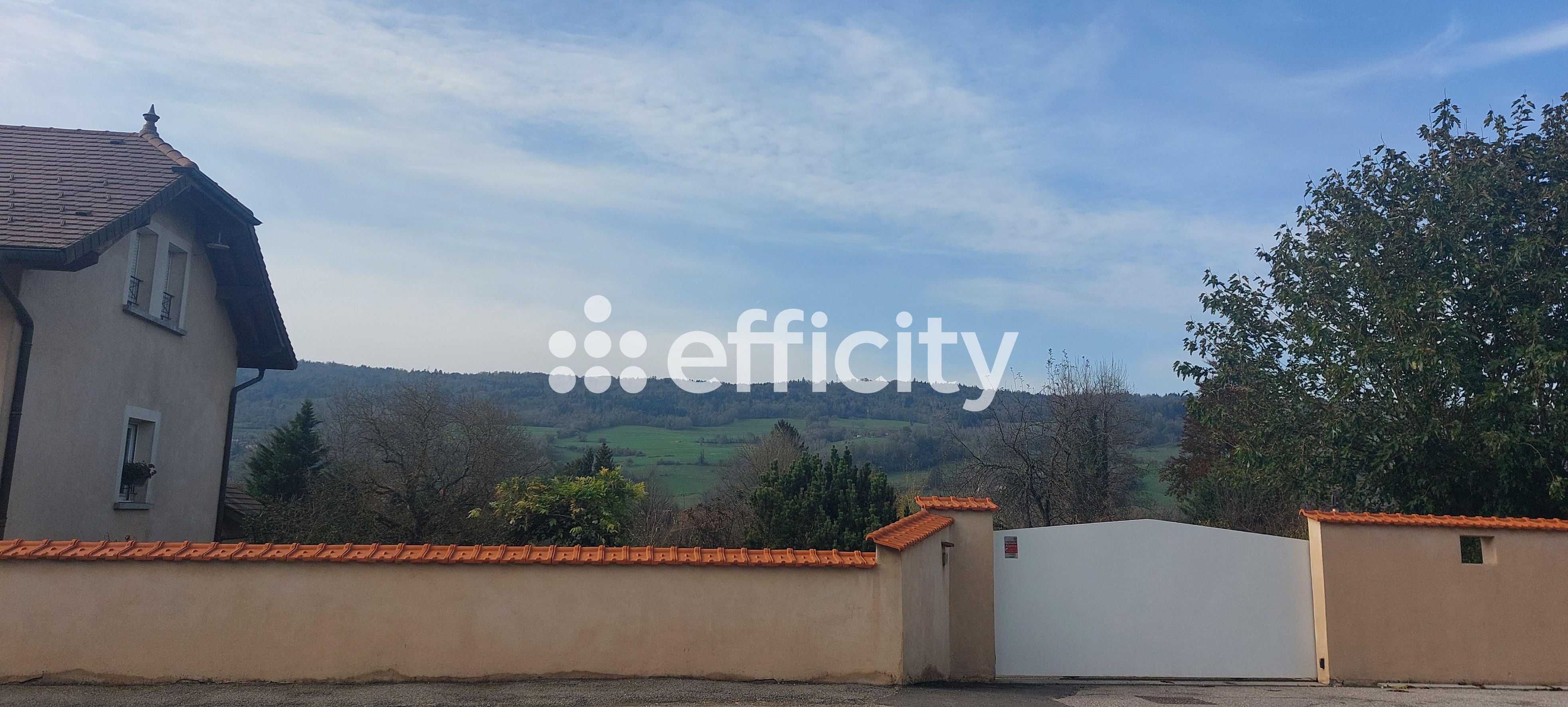 Achat immobilier Maison 9 pièces  213m2 à Saint-Joseph-de-Rivière (38134) - Photo n°4