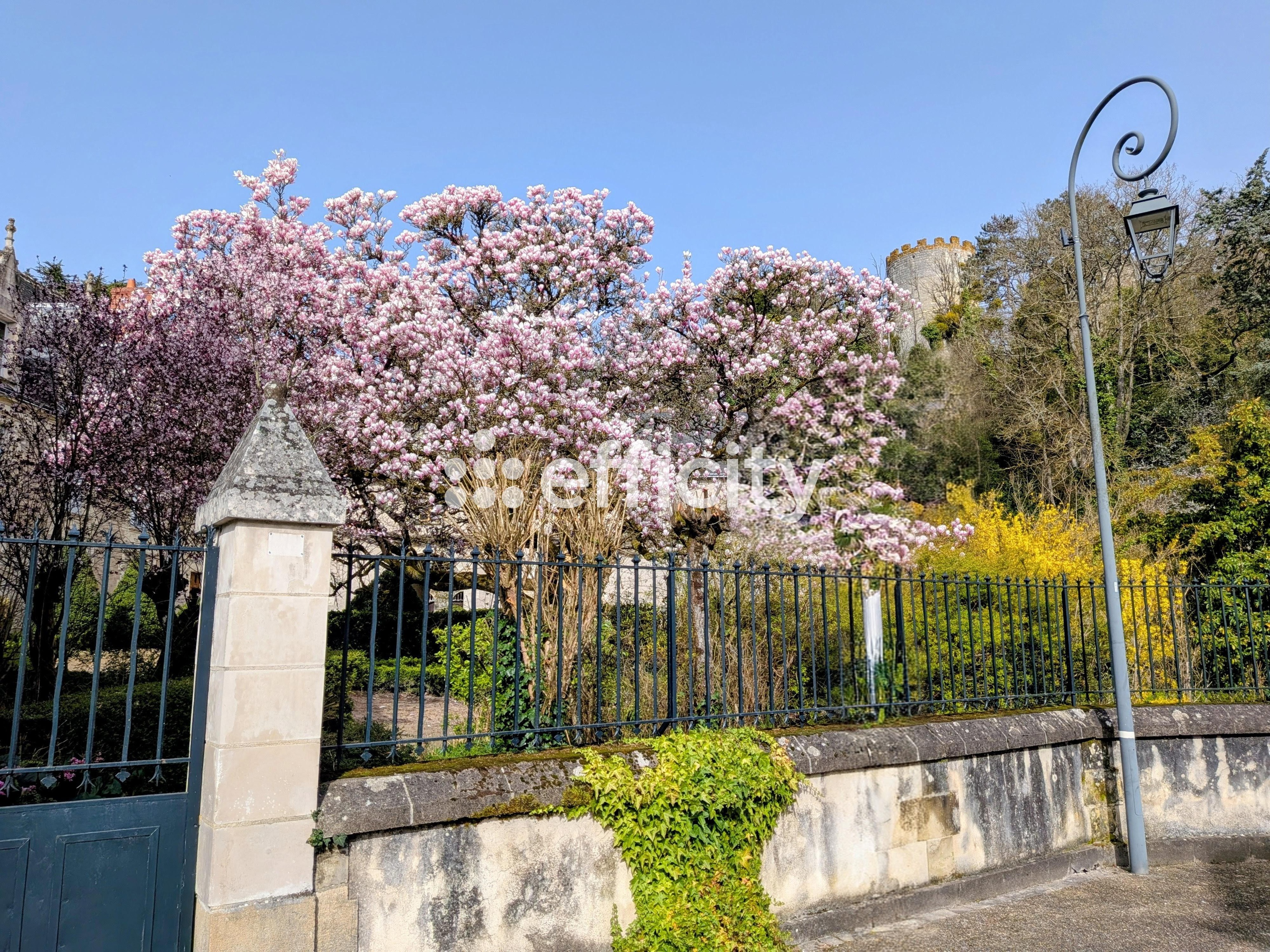 Achat immobilier Maison 7 pièces  123m2 à Cinq-Mars-la-Pile (37130) - Photo n°4