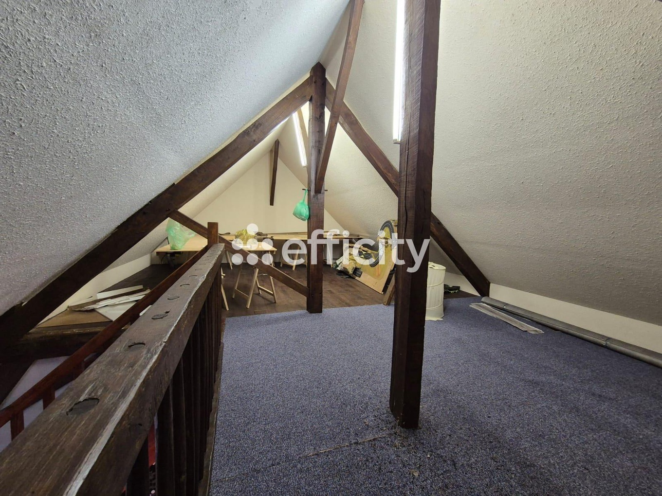 Achat immobilier Maison 14 pièces  345m2 à La Châtre (36400) - Photo n°29
