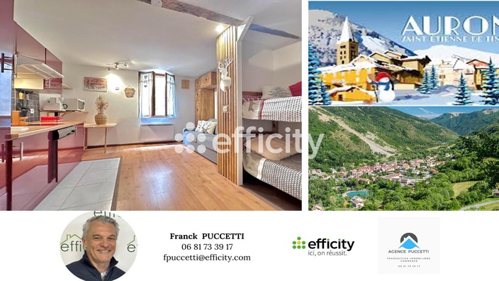 appartement 1 pièces - 20m2 à Saint-Étienne-de-Tinée (06660)