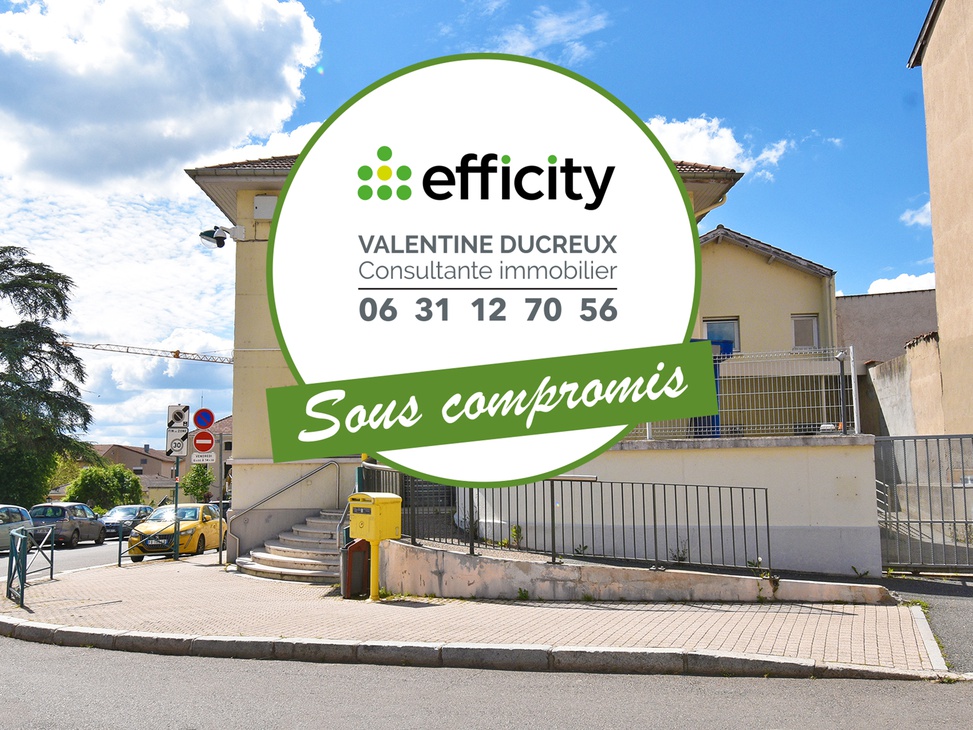 immeuble 10 pièces - 290m2 à Chazelles-sur-Lyon (42140)