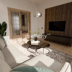 appartement 2 pièces - 47m2 à Lille (59800)