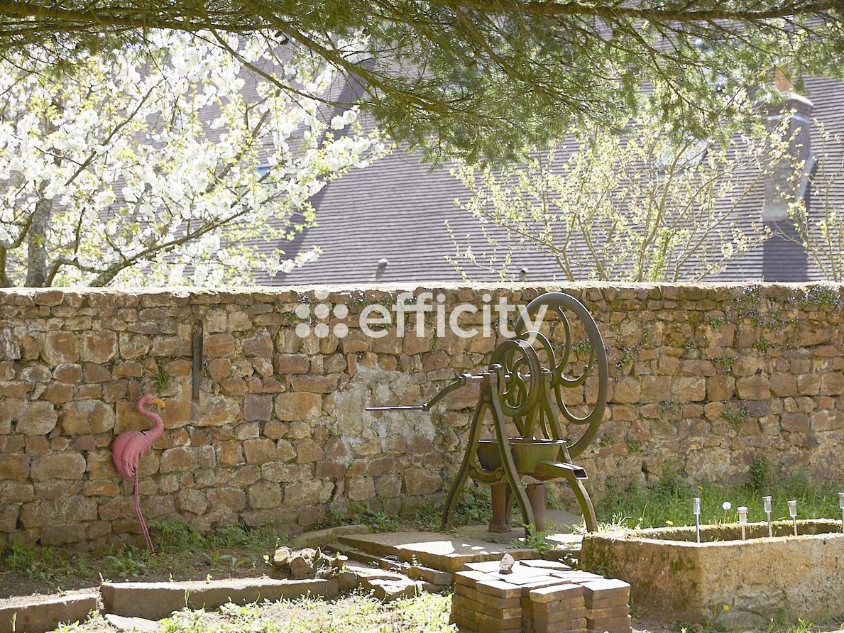 Achat immobilier Maison 10 pièces  319m2 à Saintigny (28480) - Photo n°4