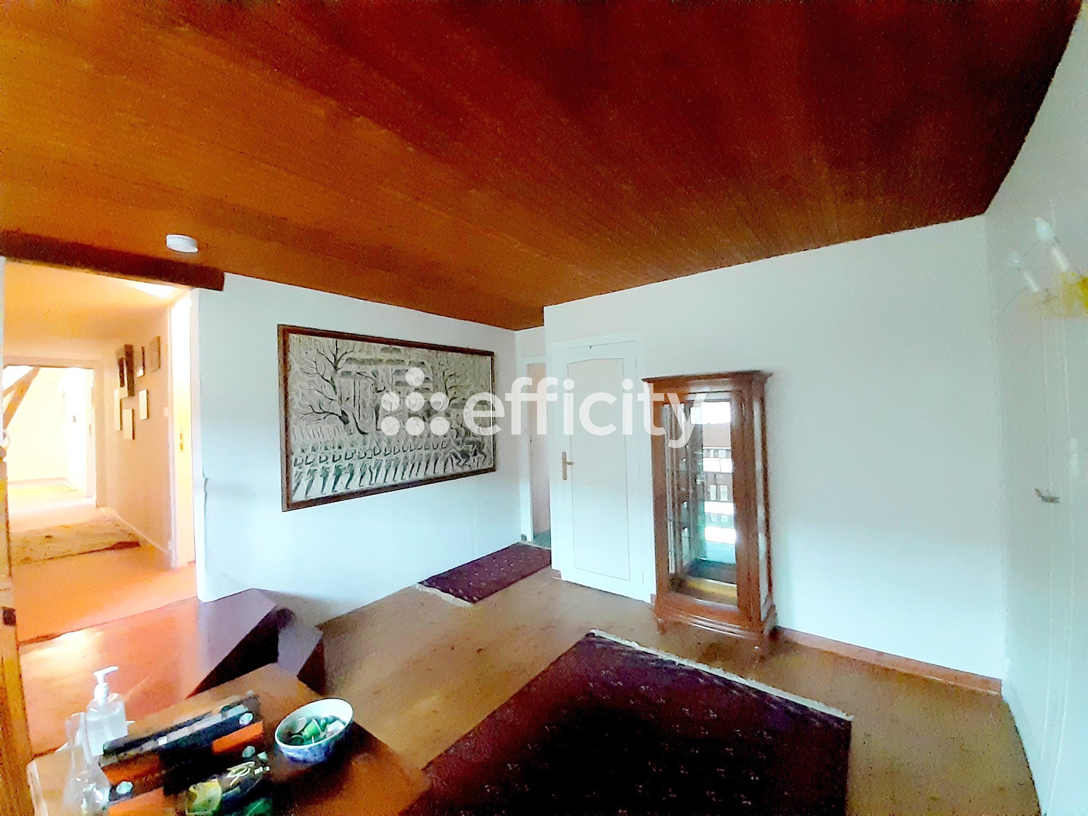 Achat immobilier Maison 10 pièces  319m2 à Saintigny (28480) - Photo n°13