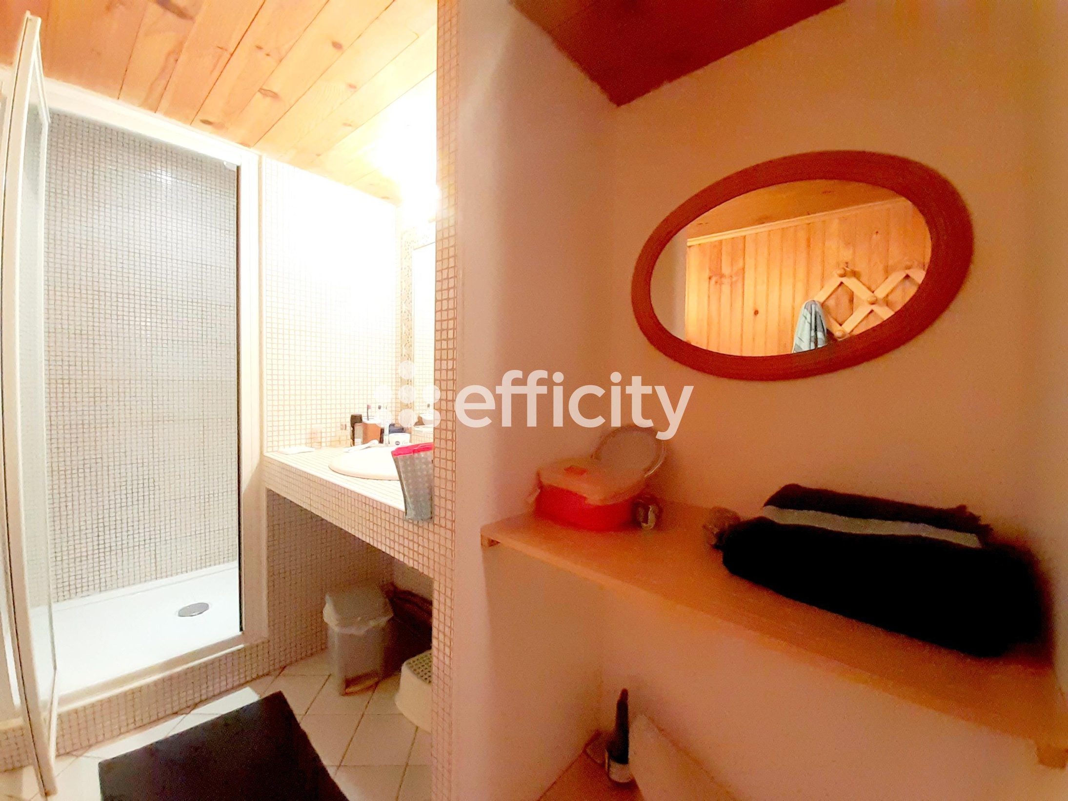 Achat immobilier Maison 10 pièces  319m2 à Saintigny (28480) - Photo n°19