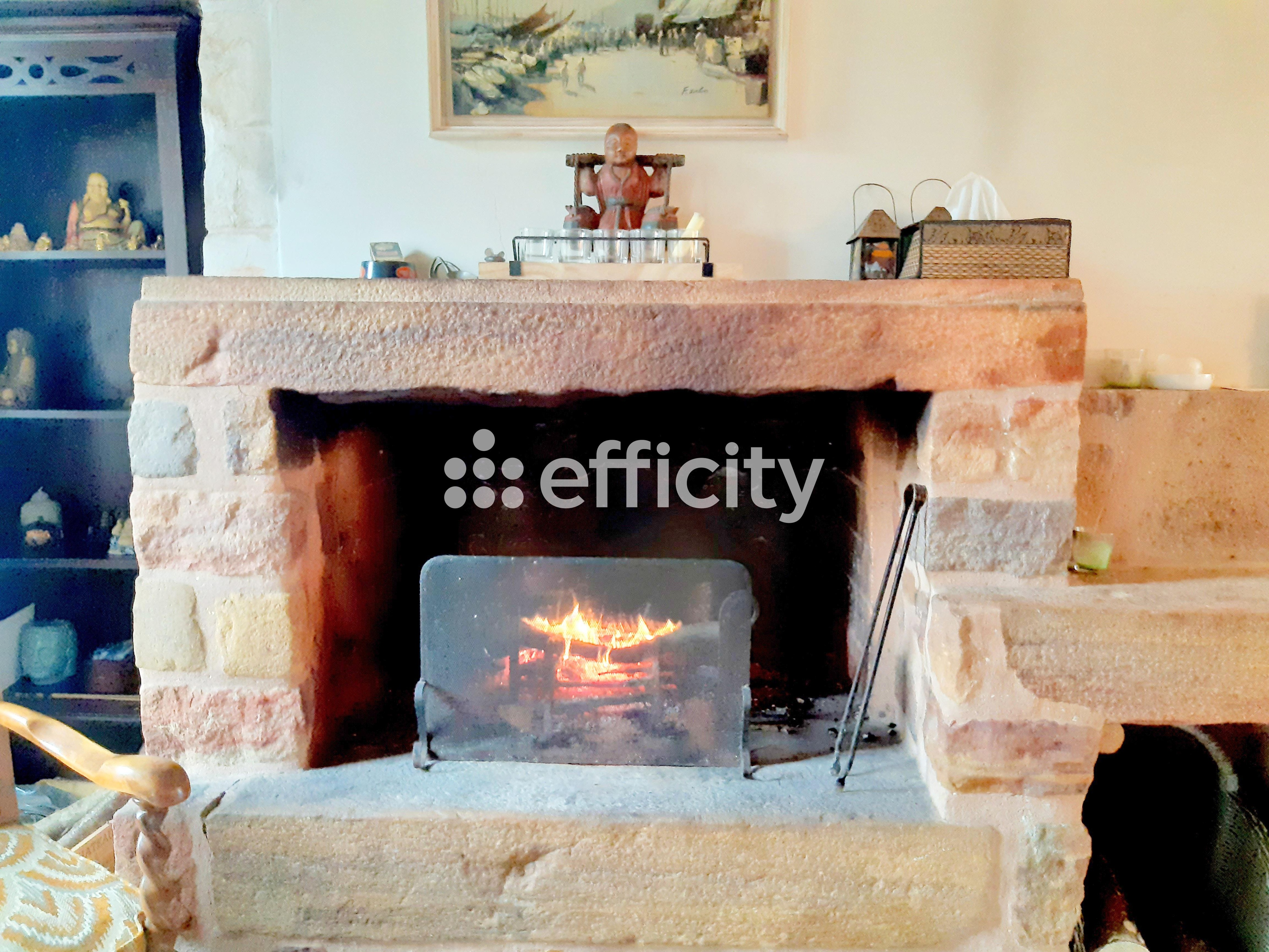 Achat immobilier Maison 10 pièces  319m2 à Saintigny (28480) - Photo n°7