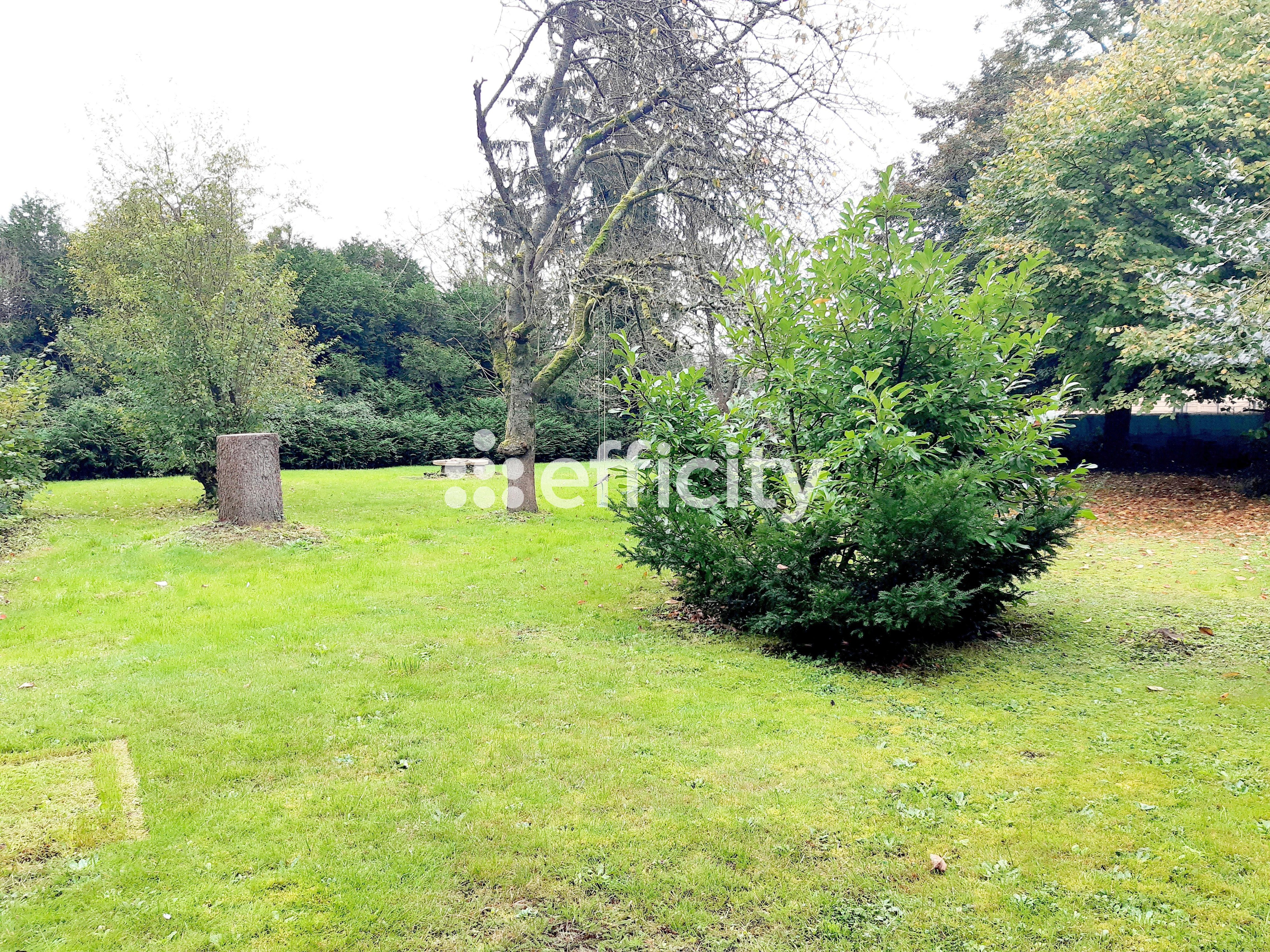 Achat immobilier Maison 10 pièces  319m2 à Saintigny (28480) - Photo n°5