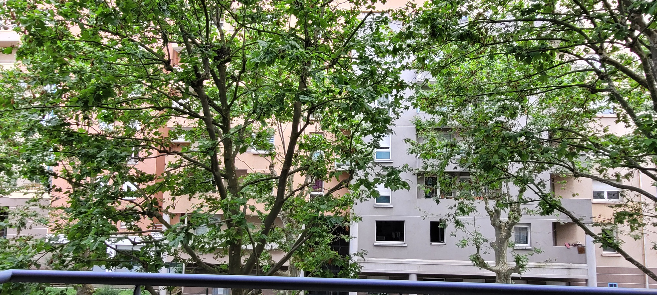 appartement 1 pièces - 30m2 à Saint-Étienne (42000)