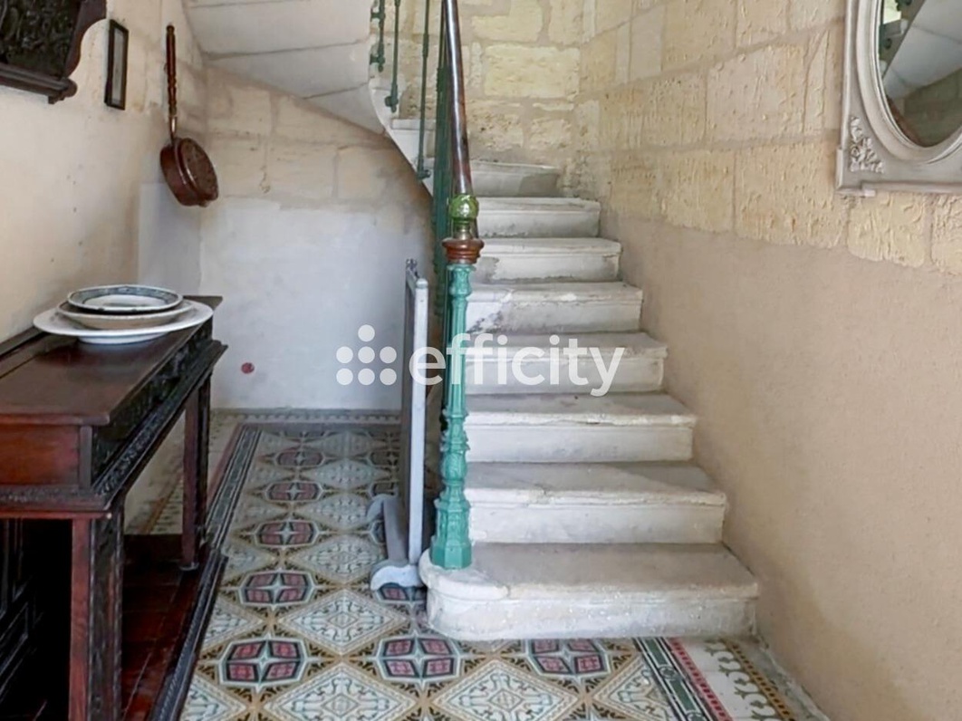 Achat immobilier Maison 9 pièces  352m2 à Saint-Denis-de-Pile (33910) - Photo n°5