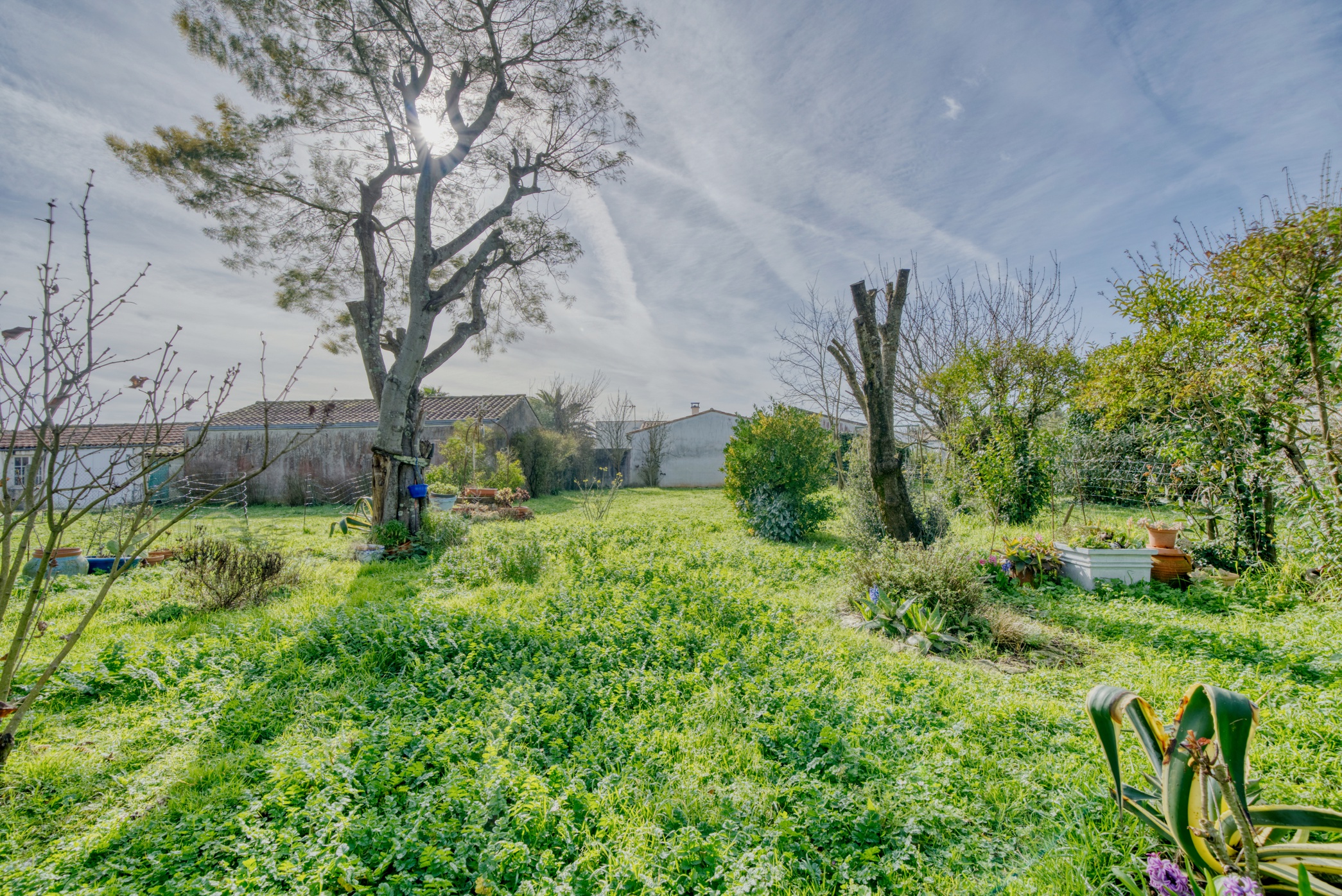 Achat immobilier Maison 5 pièces  105m2 à Sainte-Marie-de-Ré (17740) - Photo n°19