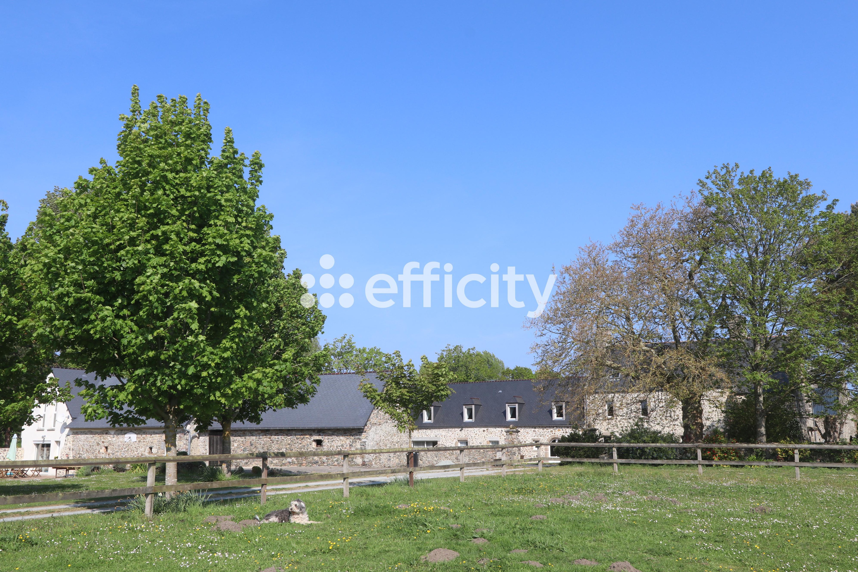 Achat immobilier Maison 21 pièces  450m2 à Blainville-sur-Mer (50560) - Photo n°12