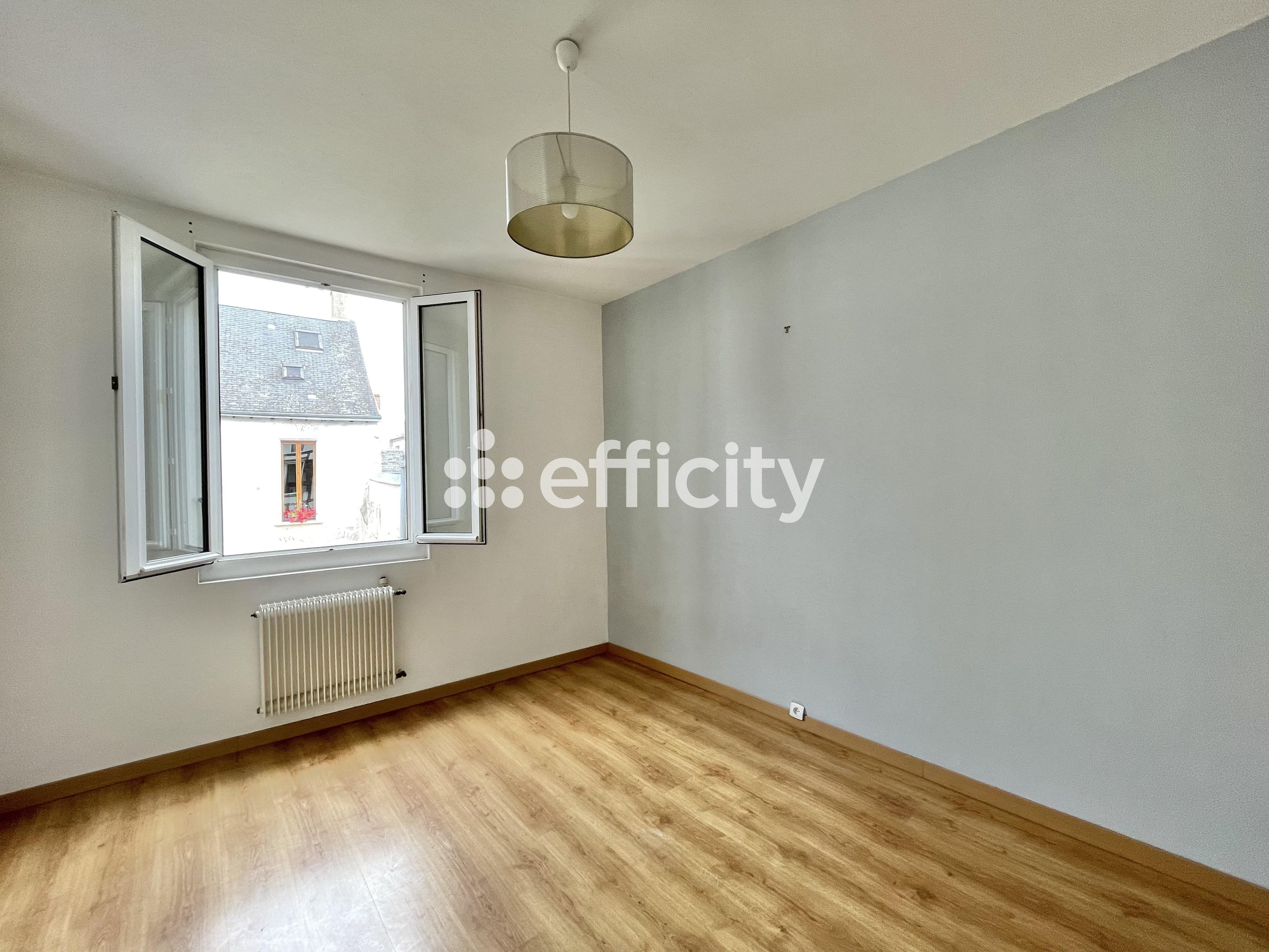 Achat immobilier Maison 6 pièces  175m2 à Orléans (45000) - Photo n°13