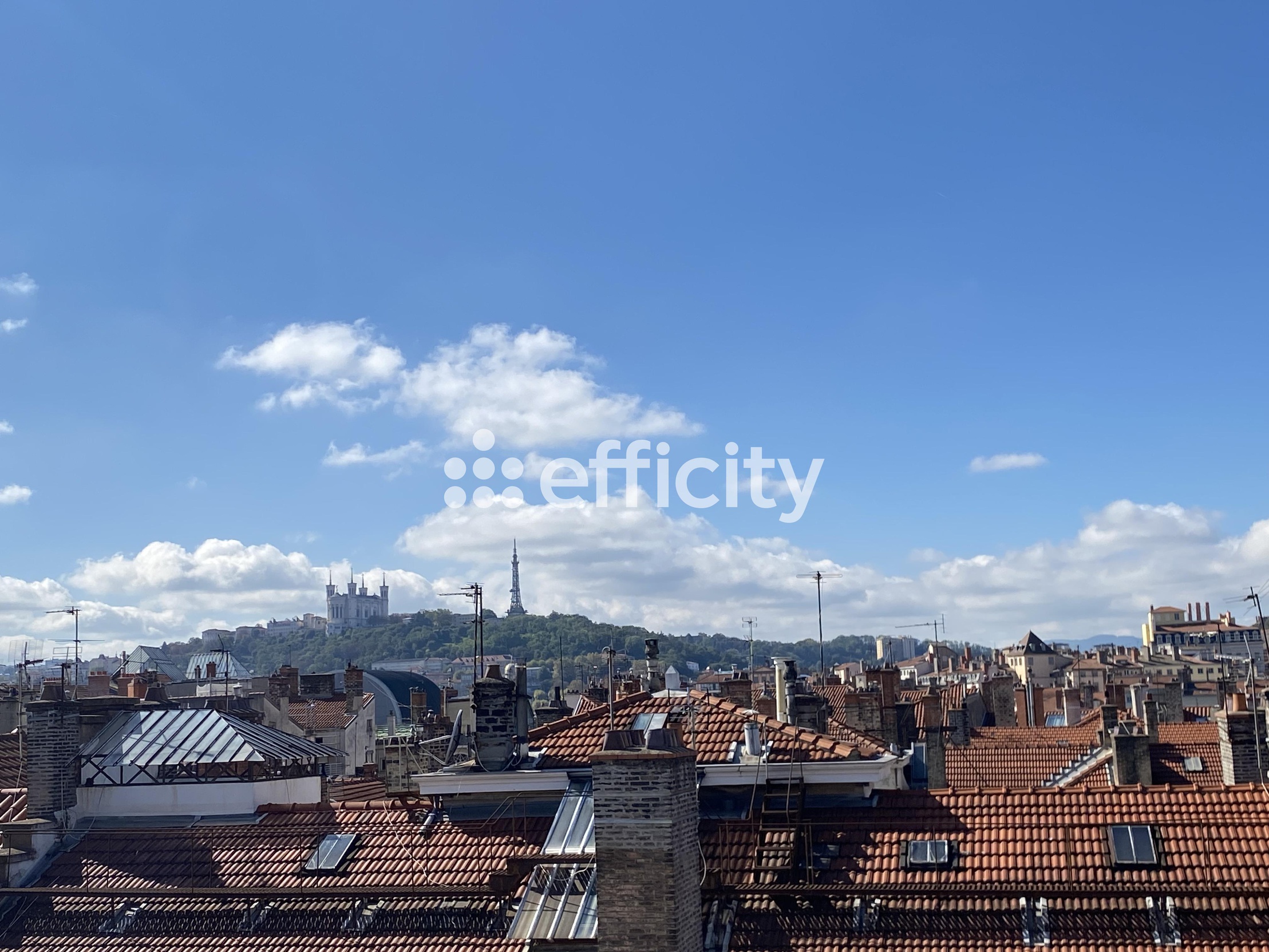 appartement 2 pièces - 49m2 à Lyon (69006)