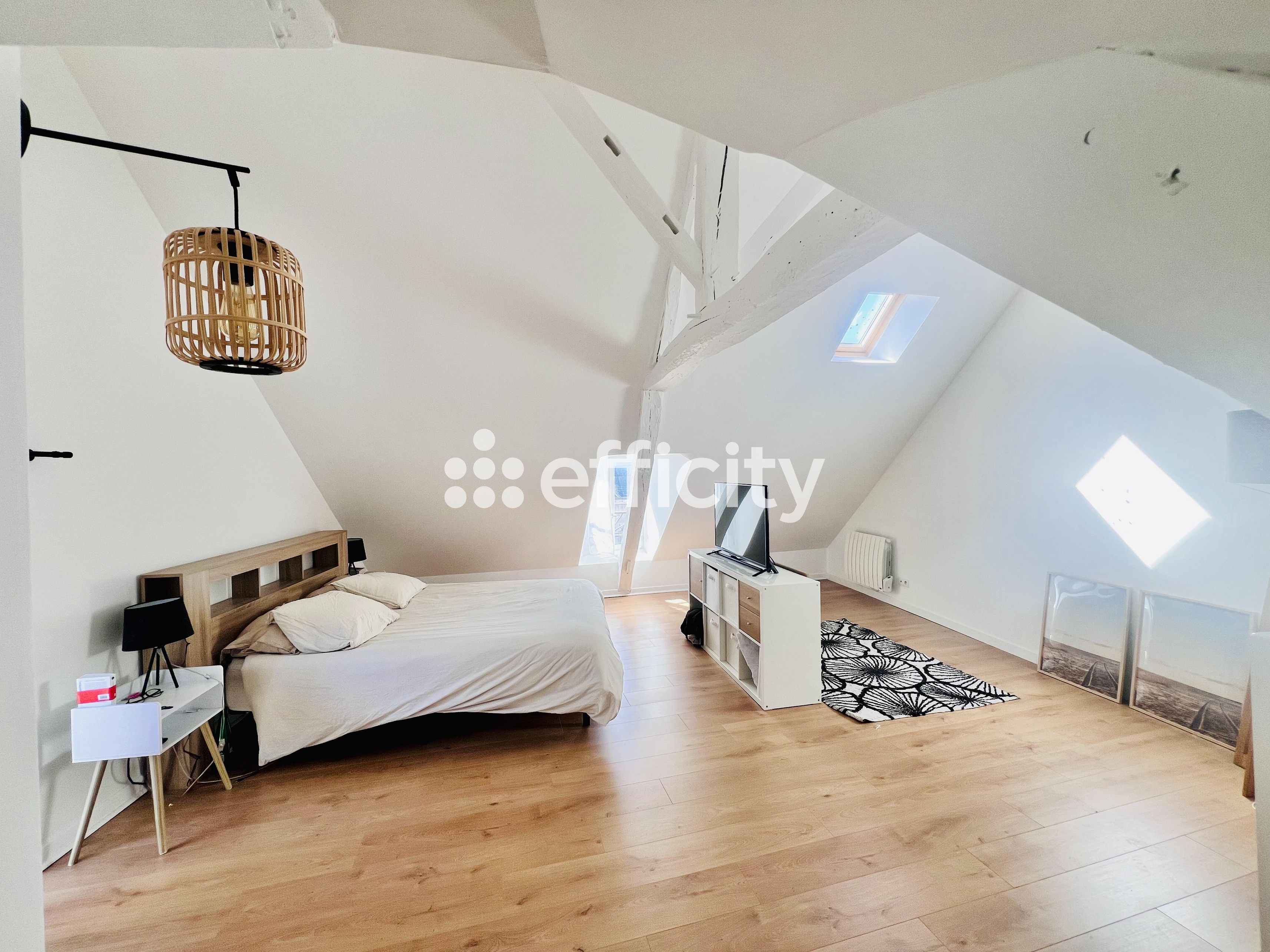 Achat immobilier Maison 5 pièces  133m2 à Sorigny (37250) - Photo n°5