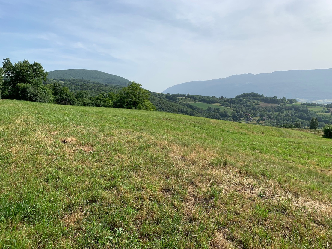 terrain  - 980m2 à Desingy (74270)