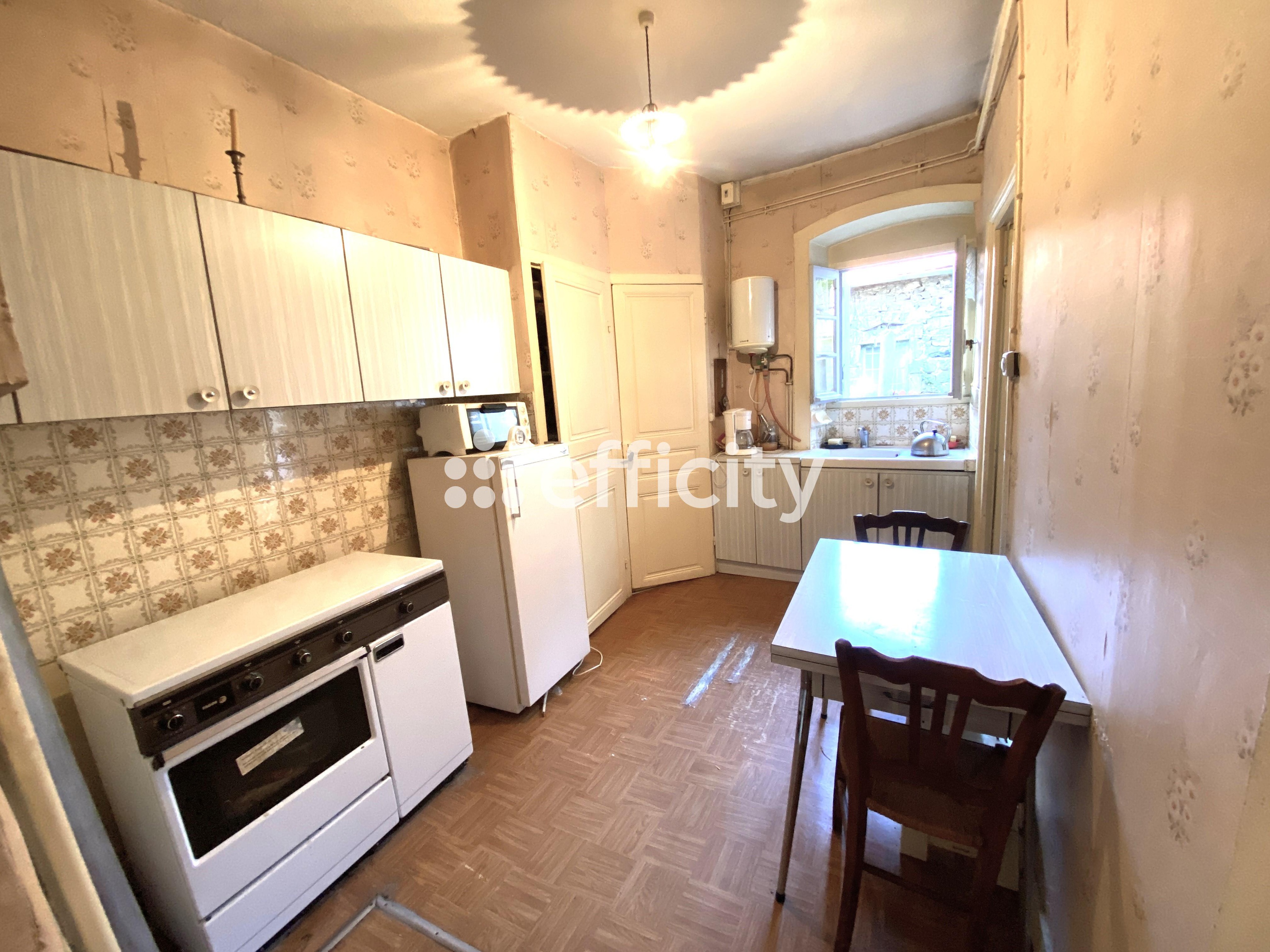 Achat immobilier Maison 12 pièces  270m2 à Saint-Maurice-de-Lignon (43200) - Photo n°6