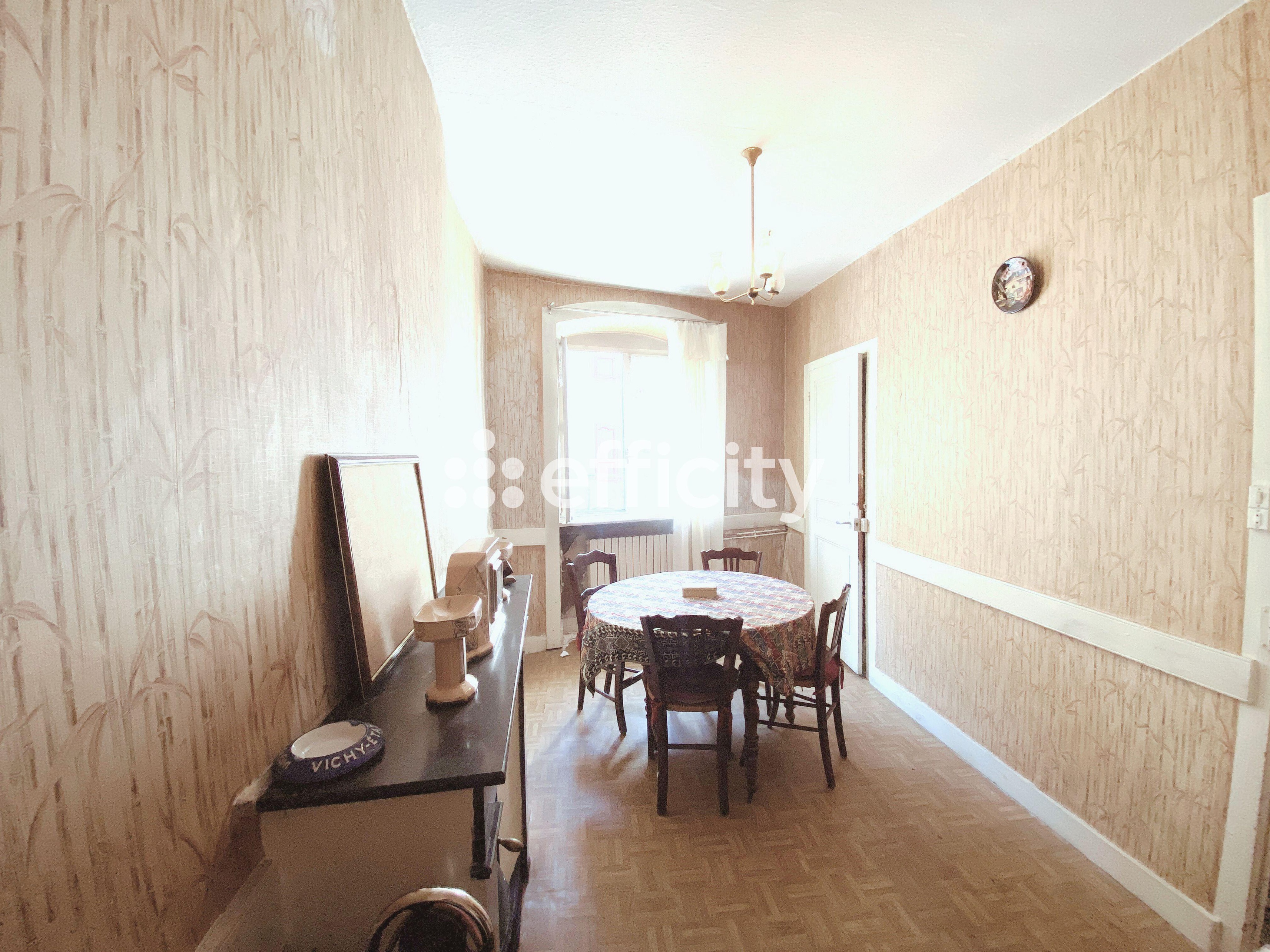 Achat immobilier Maison 12 pièces  270m2 à Saint-Maurice-de-Lignon (43200) - Photo n°5