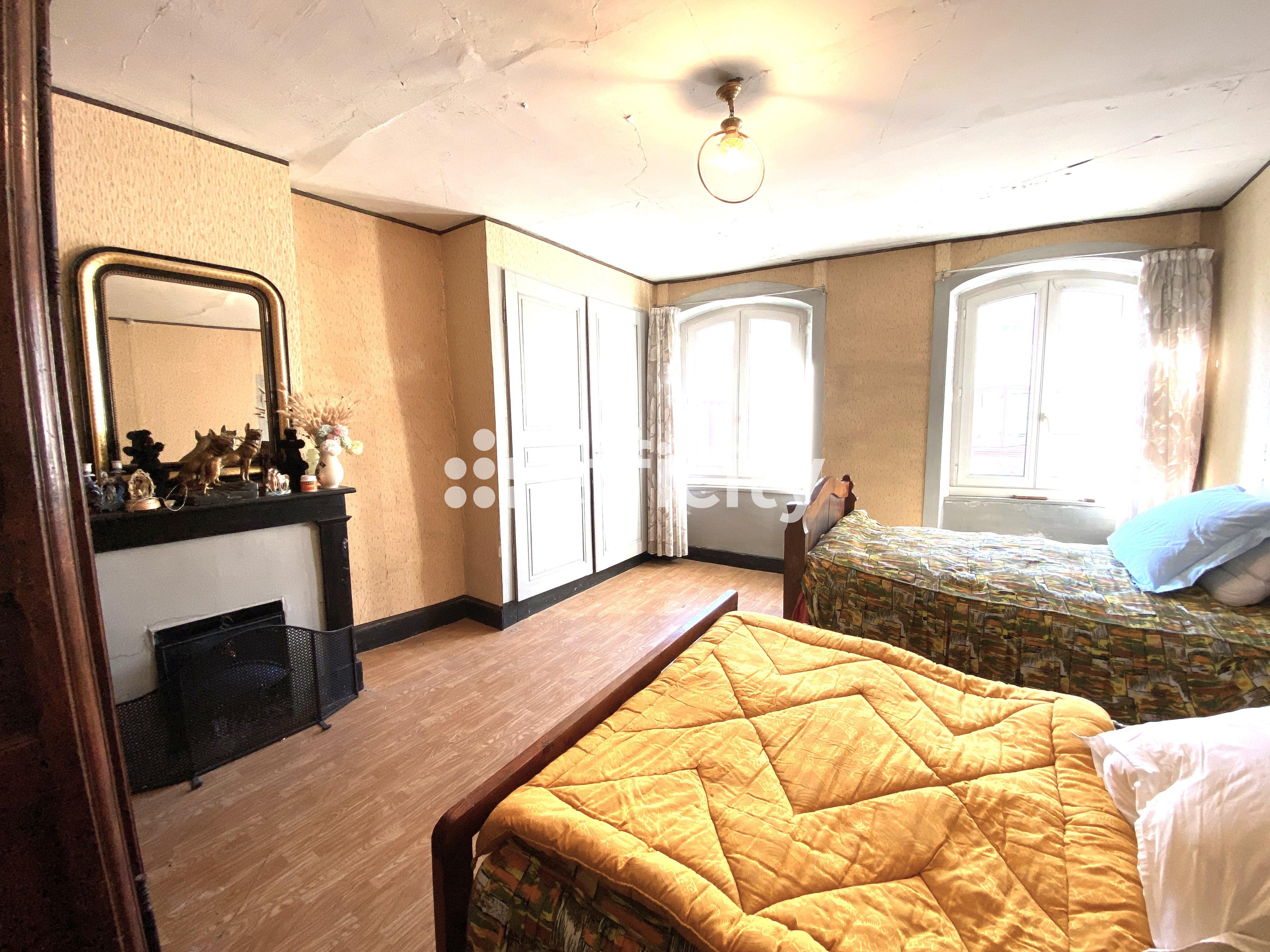 Achat immobilier Maison 12 pièces  270m2 à Saint-Maurice-de-Lignon (43200) - Photo n°8