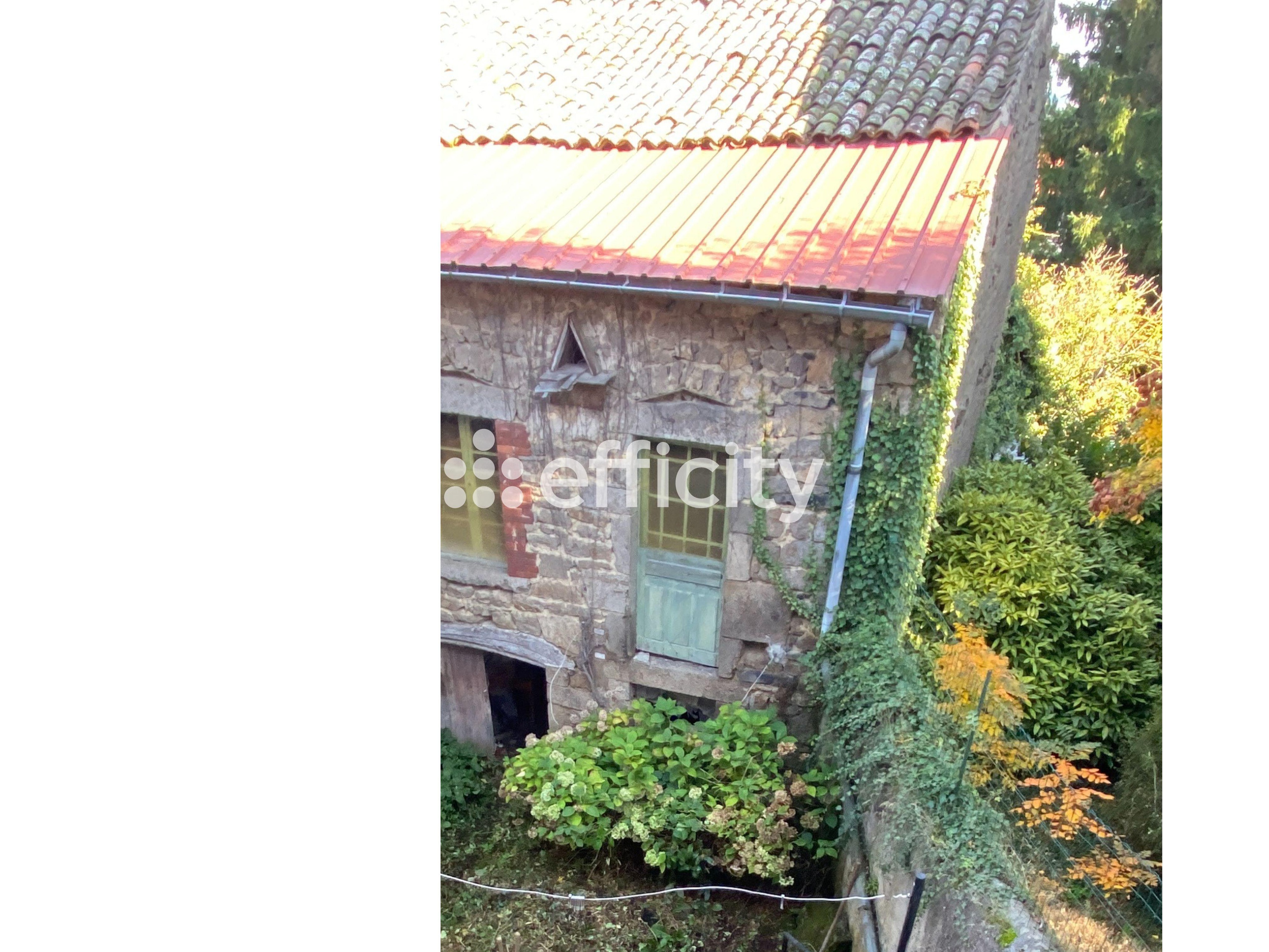 Achat immobilier Maison 12 pièces  270m2 à Saint-Maurice-de-Lignon (43200) - Photo n°11