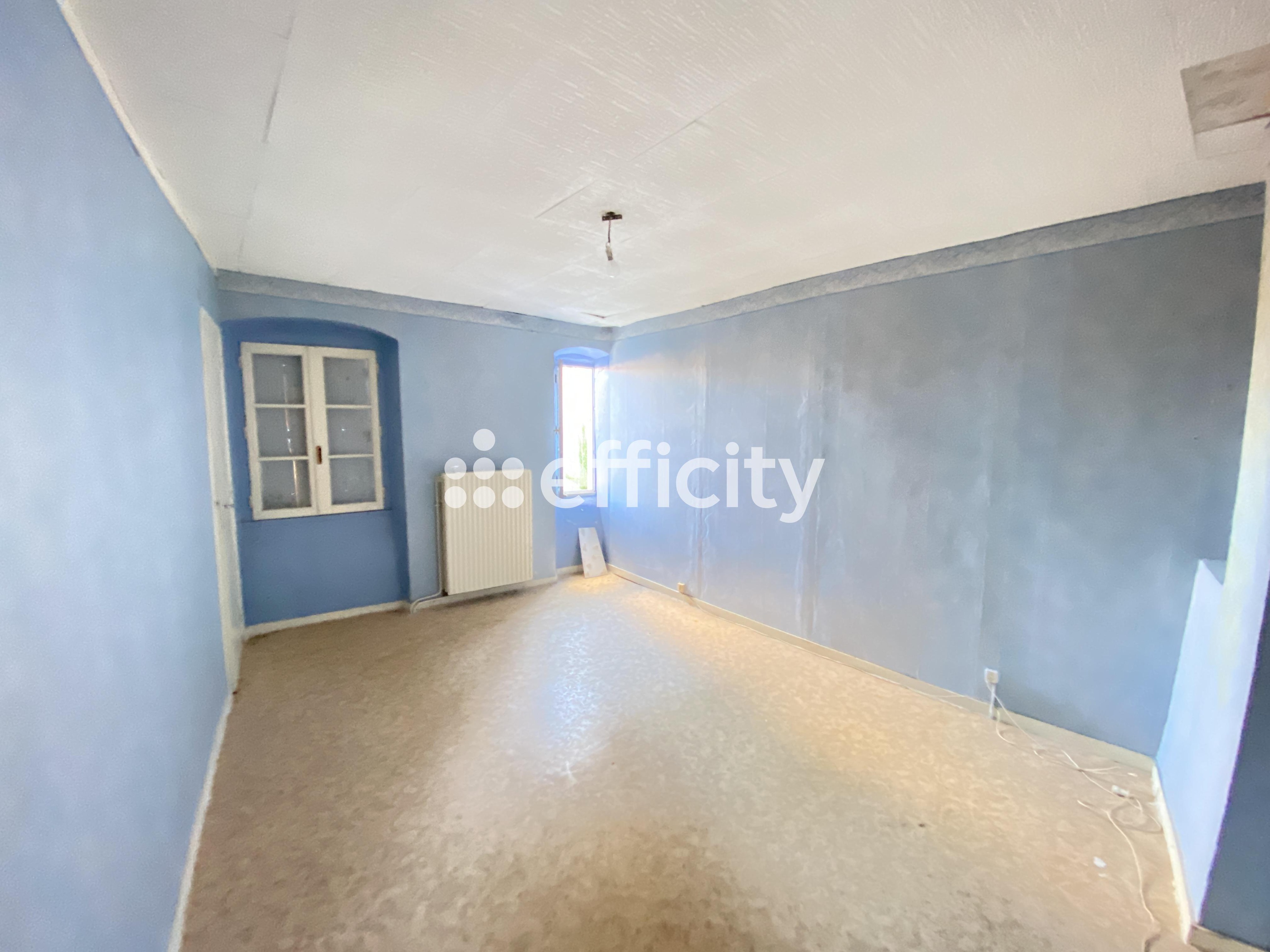 Achat immobilier Maison 12 pièces  270m2 à Saint-Maurice-de-Lignon (43200) - Photo n°10