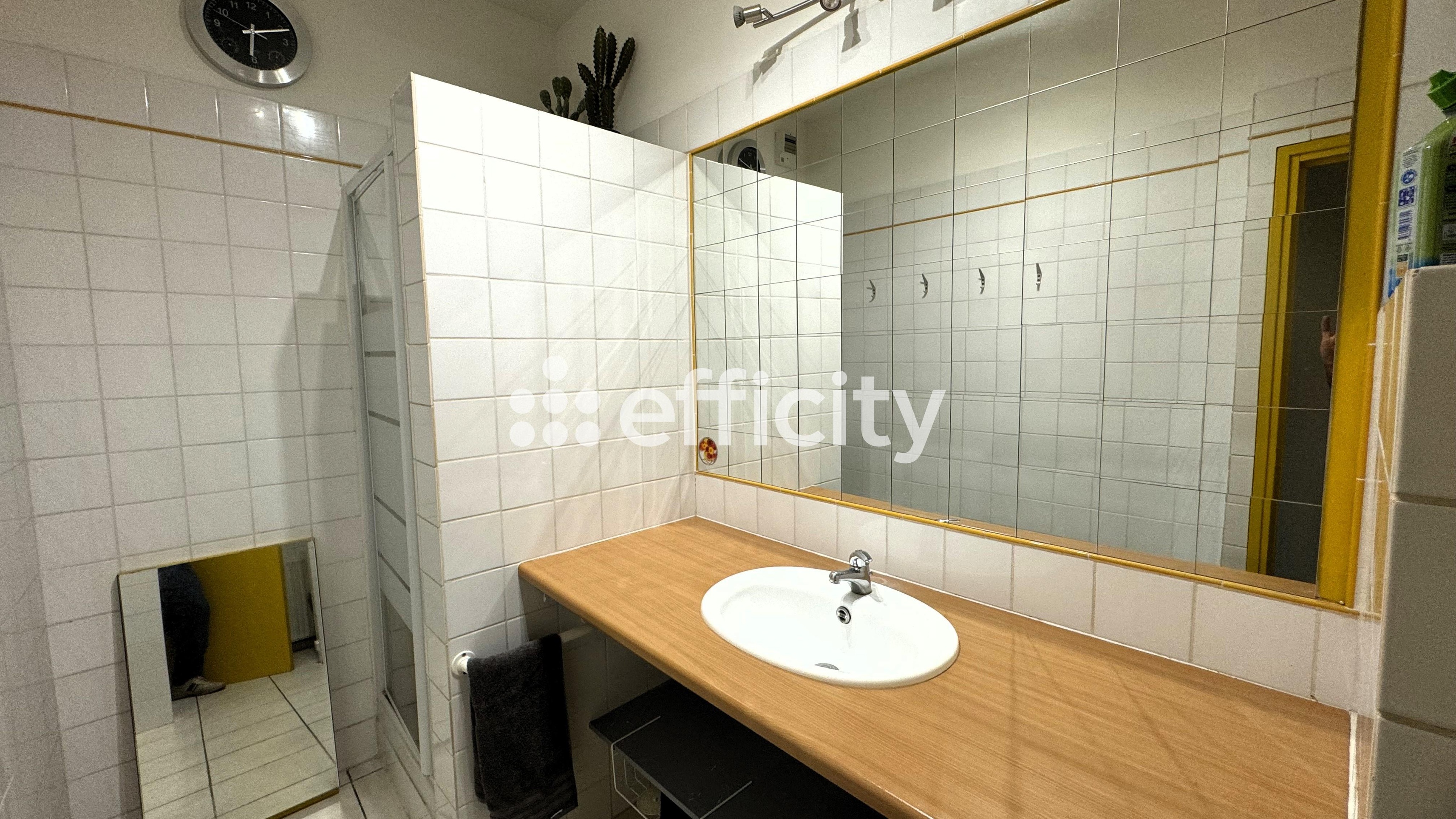 Achat immobilier Loft 5 pièces  98m2 à Faches-Thumesnil (59155) - Photo n°13