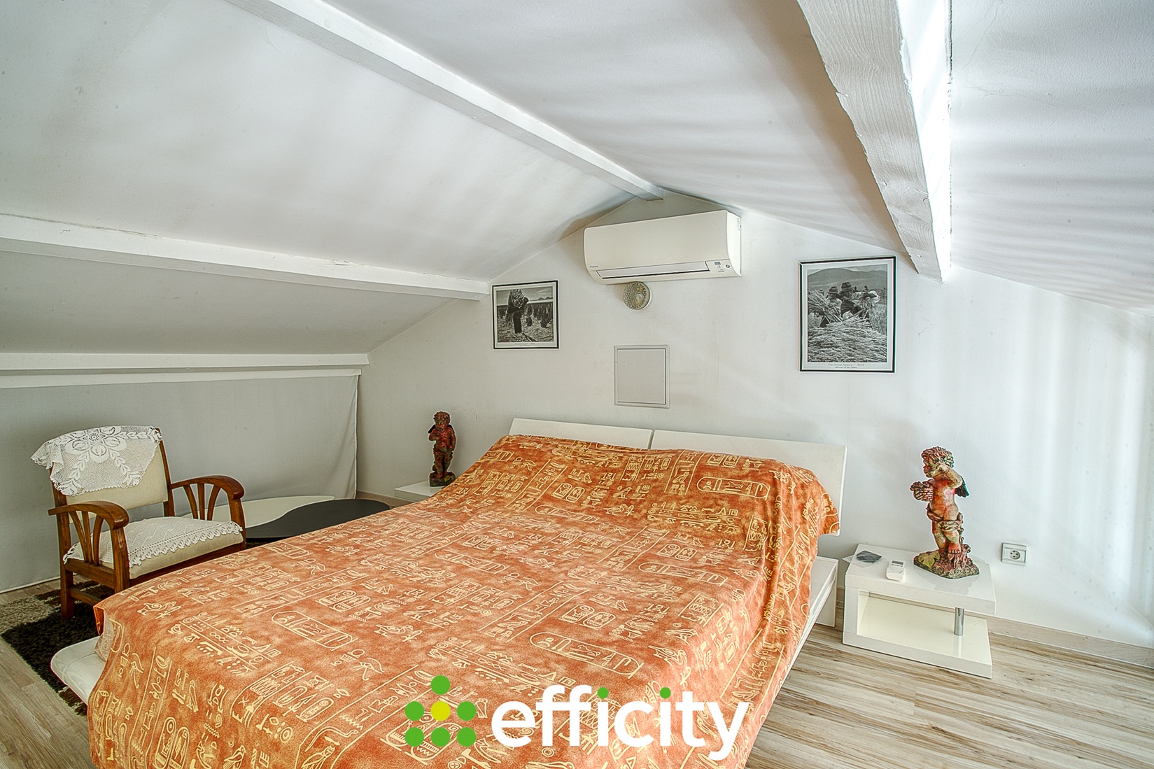 Achat immobilier Appartement 5 pièces  163m2 à Vienne (38200) - Photo n°8