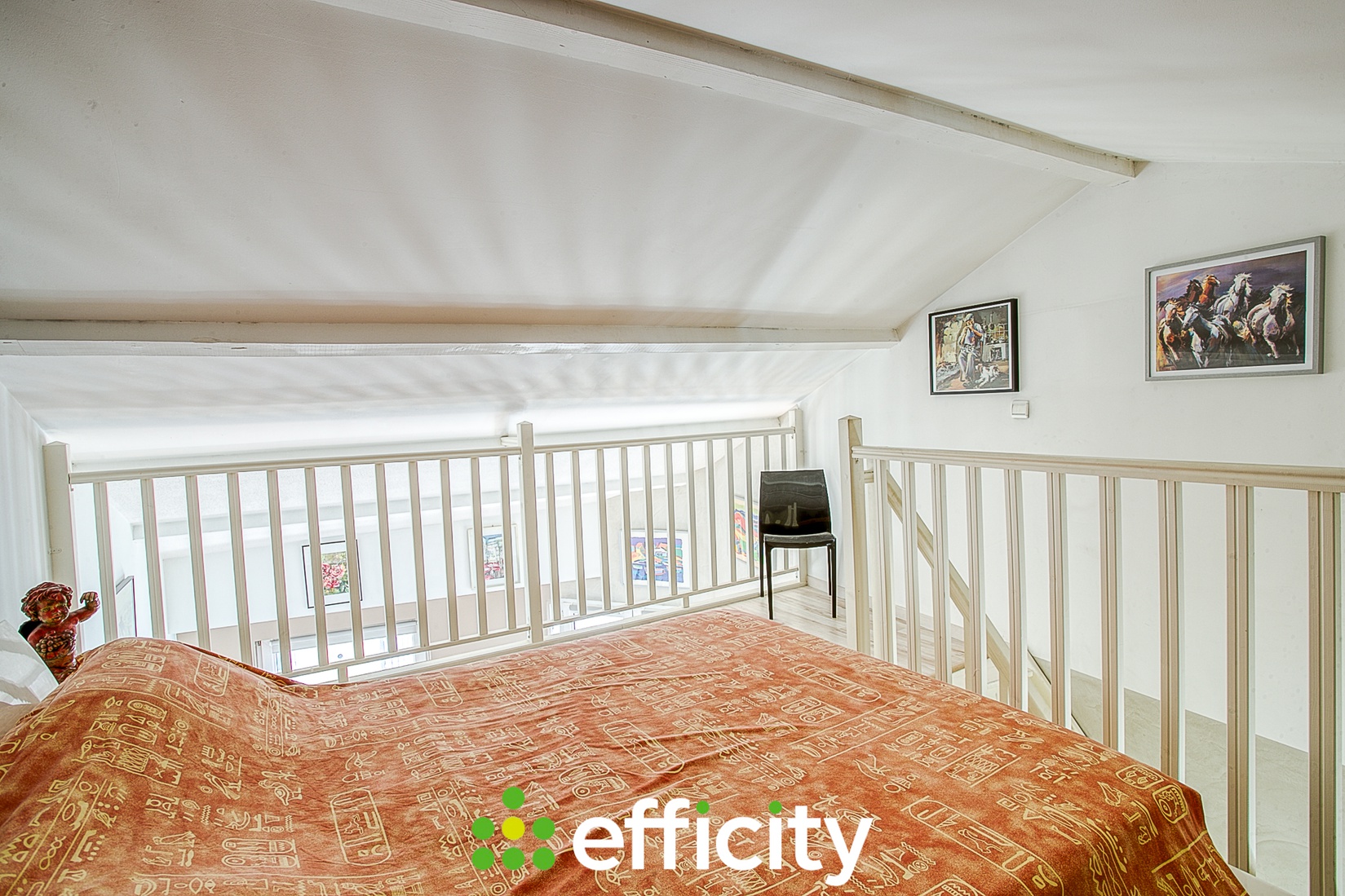Achat immobilier Appartement 5 pièces  163m2 à Vienne (38200) - Photo n°9