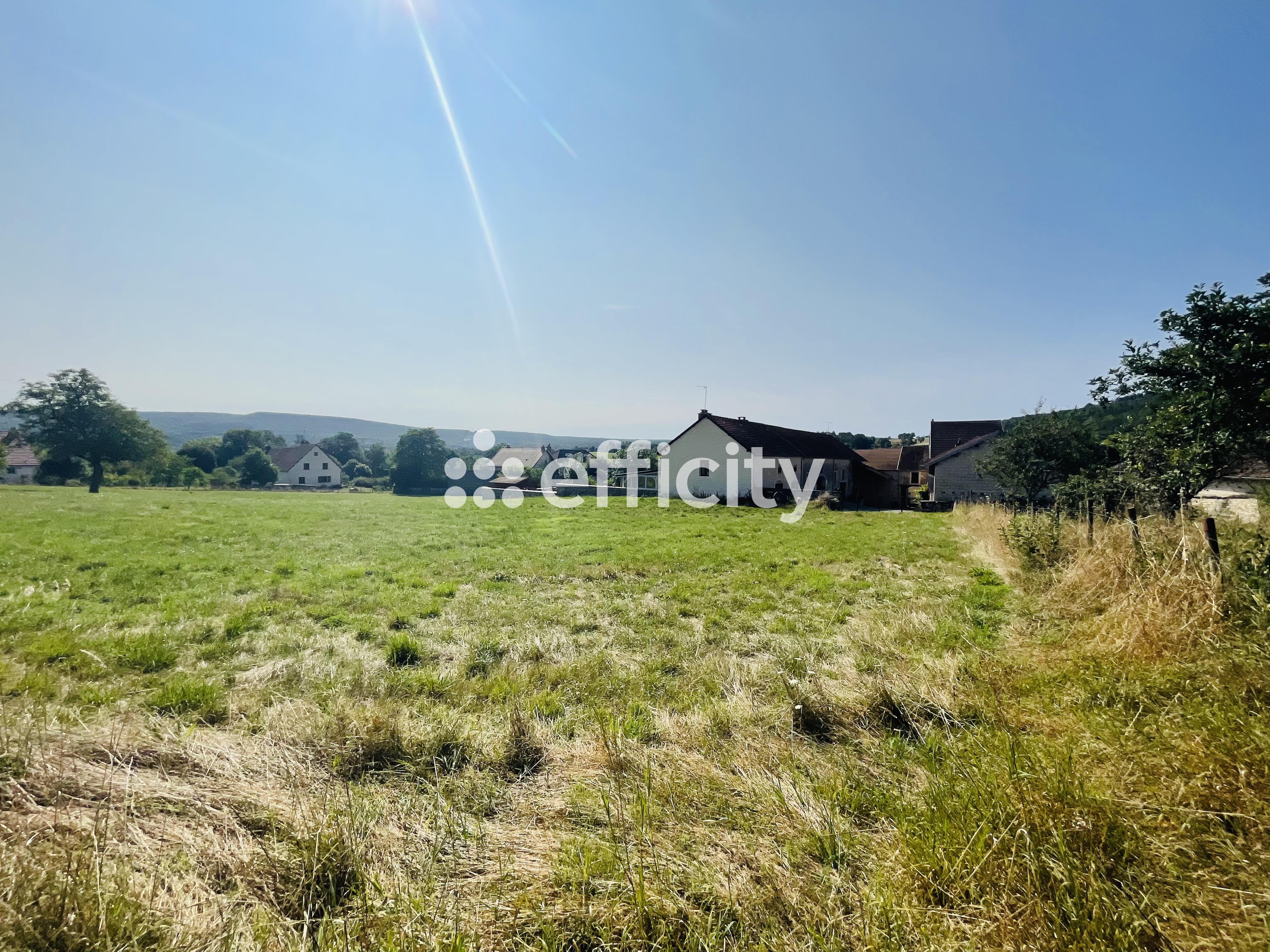 Achat immobilier Terrain   5179m2 à Agey (21410) - Photo n°4