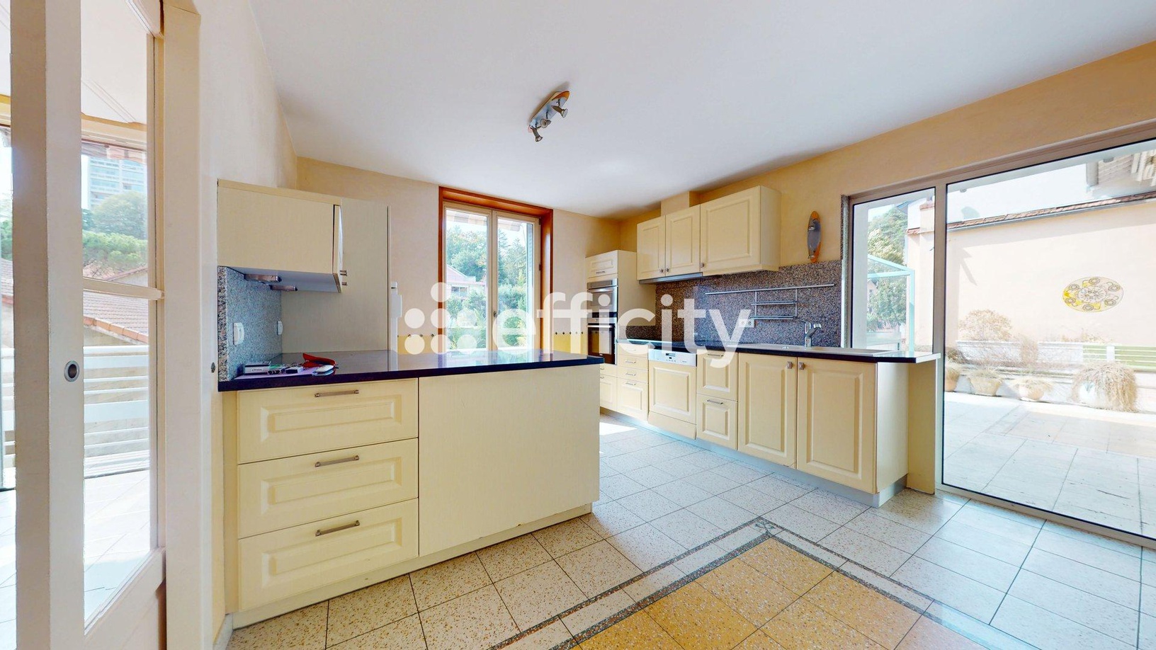 Achat immobilier Maison 8 pièces  333m2 à Caluire-et-Cuire (69300) - Photo n°7