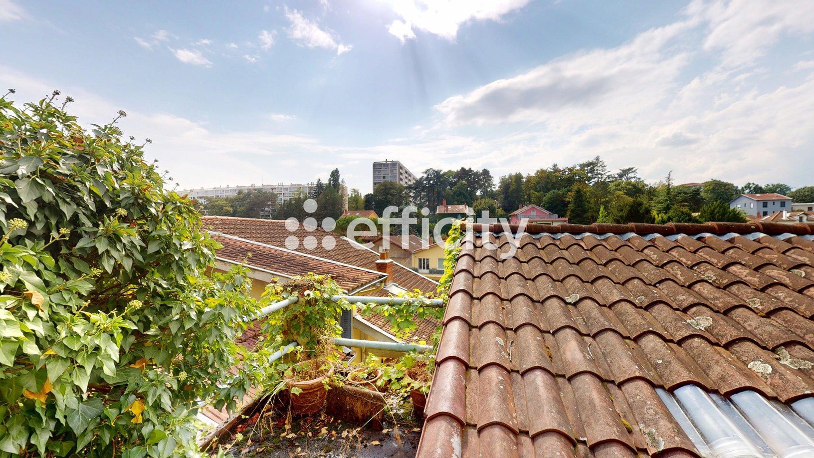 Achat immobilier Maison 8 pièces  333m2 à Caluire-et-Cuire (69300) - Photo n°21