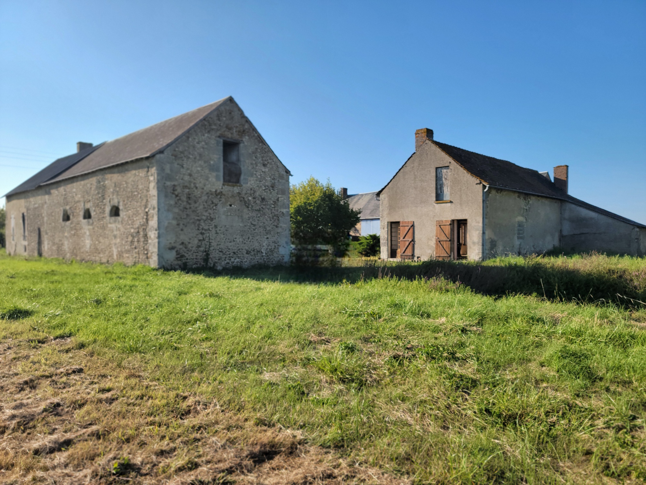 maison 1 pièces - 53m2 à Neuillé-Pont-Pierre (37360)