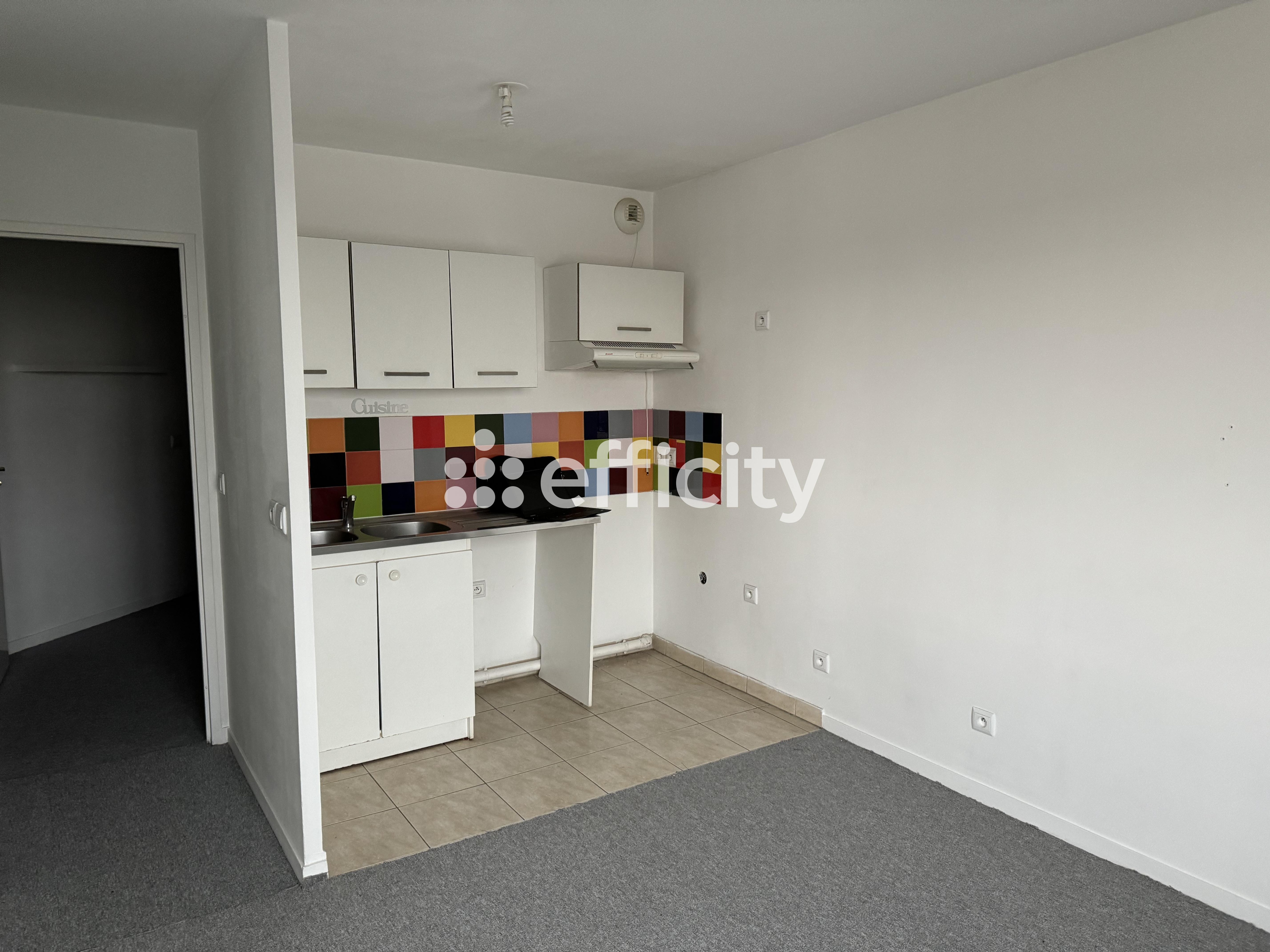 Achat immobilier Appartement 1 pièces  37m2 à Vigneux-sur-Seine (91270) - Photo n°10
