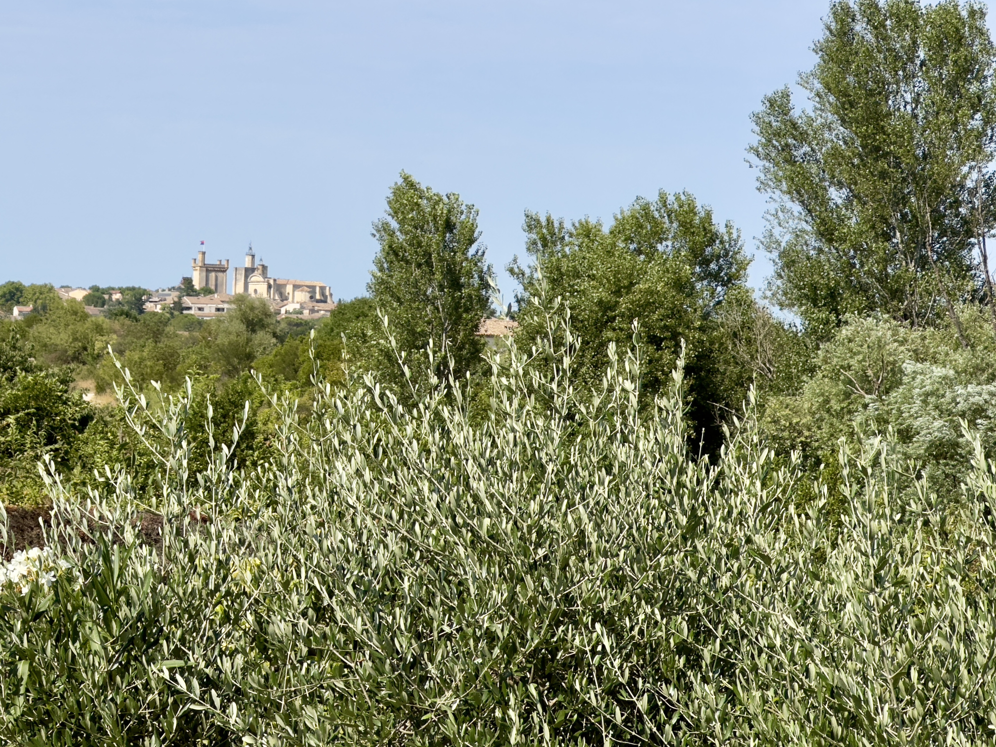 Achat immobilier Maison 6 pièces  150m2 à Uzès (30700) - Photo n°1