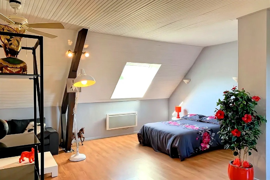 Achat immobilier Maison 14 pièces  460m2 à La Châtre (36400) - Photo n°10