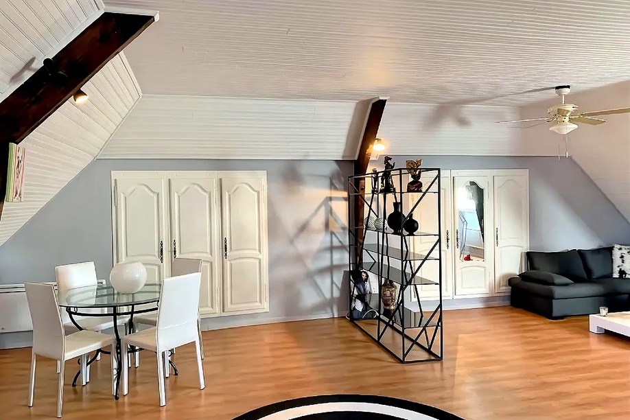 Achat immobilier Maison 14 pièces  460m2 à La Châtre (36400) - Photo n°7