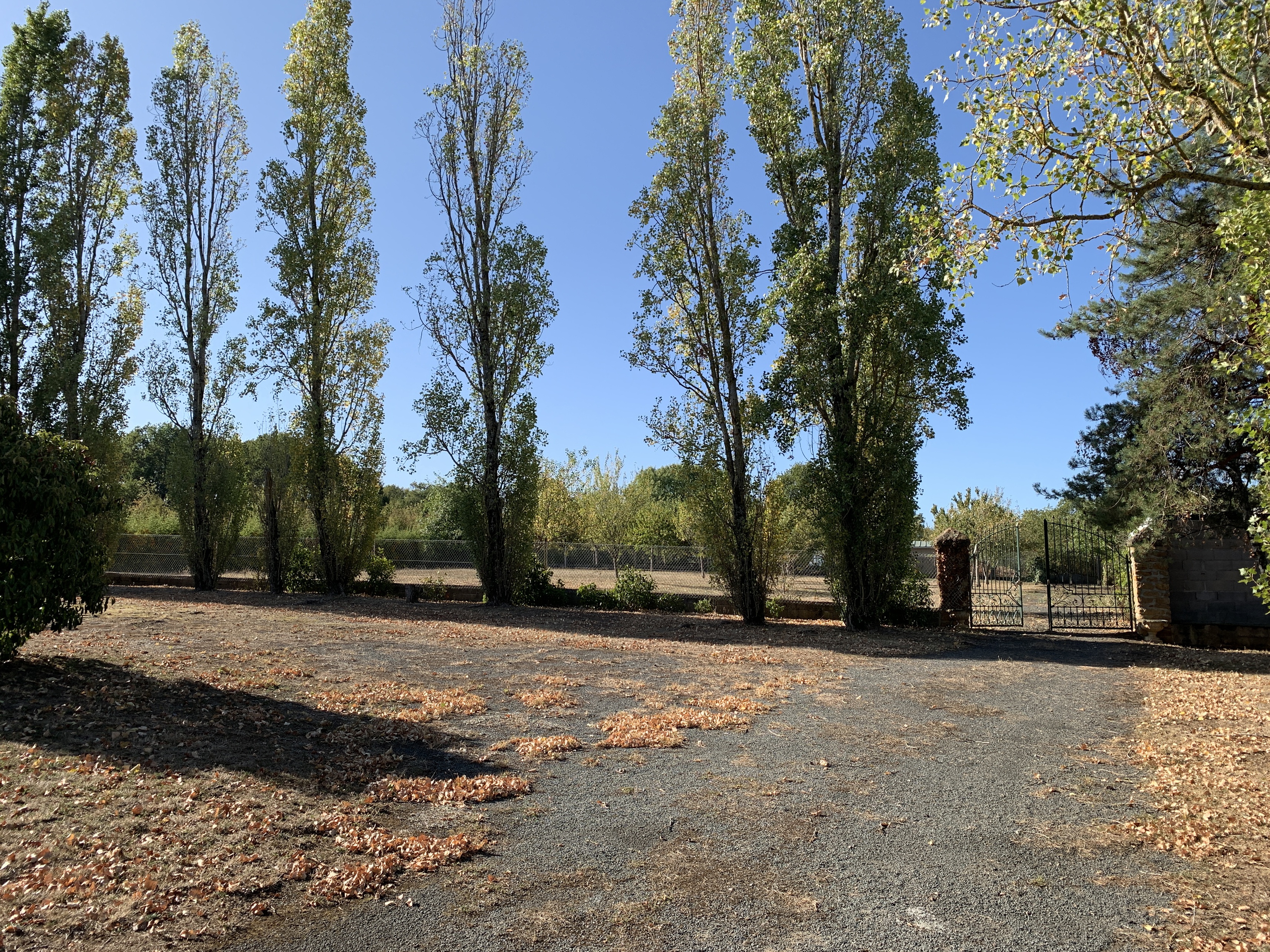 Achat immobilier Maison 14 pièces  460m2 à La Châtre (36400) - Photo n°25