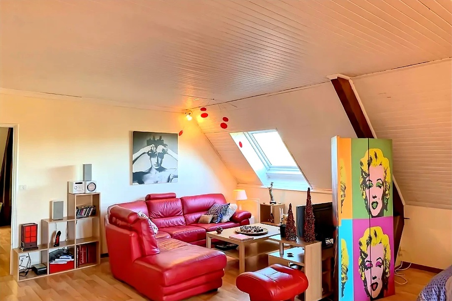 Achat immobilier Maison 14 pièces  460m2 à La Châtre (36400) - Photo n°14